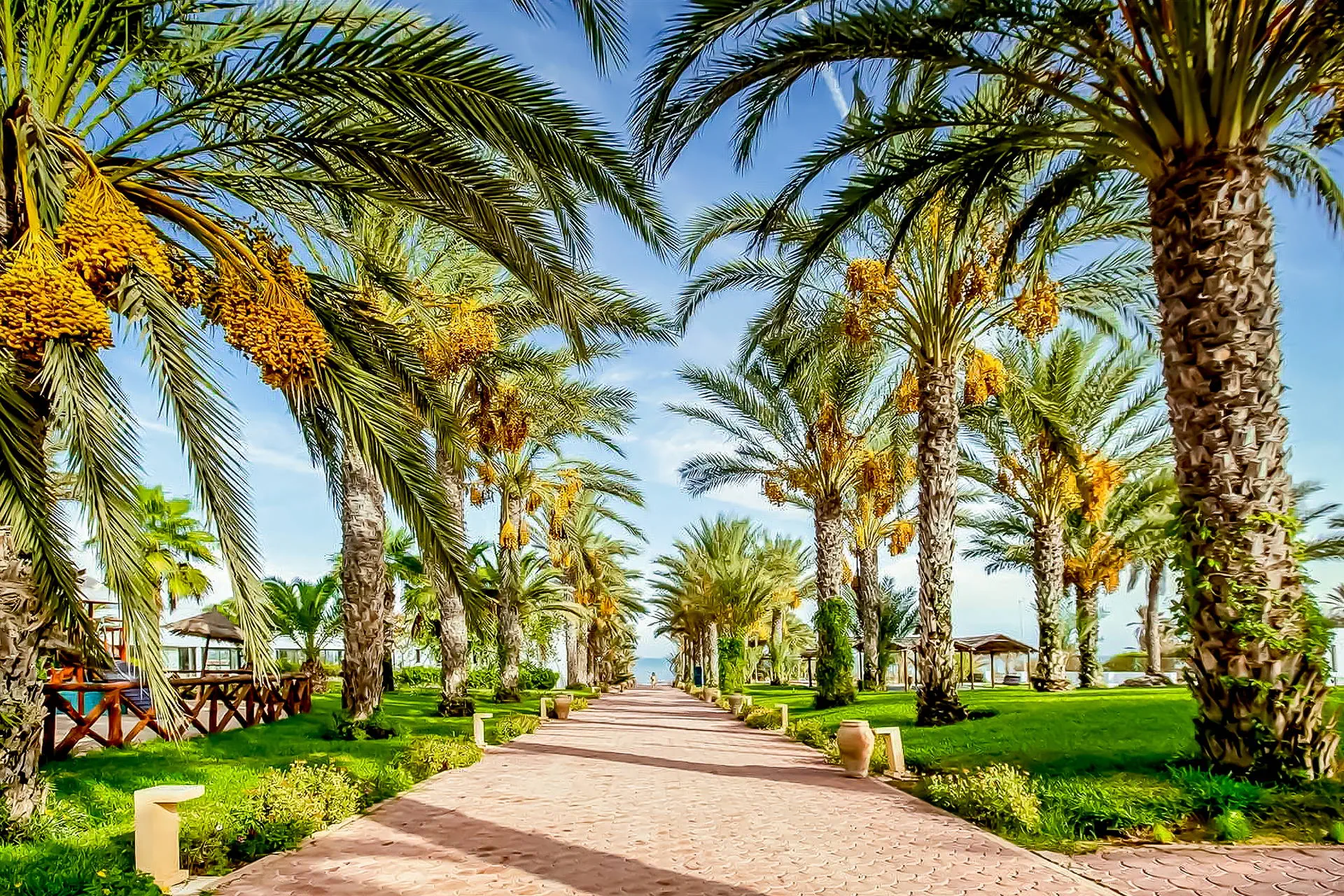 Club Palm Azur (ex Riu) - zdjęcie 16