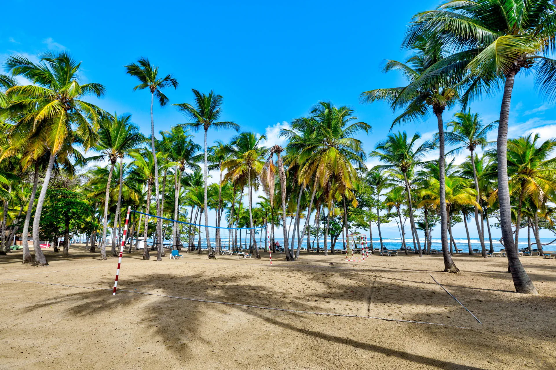 Playa Bachata Resort (ex. Riu Merengue) - zdjęcie 11