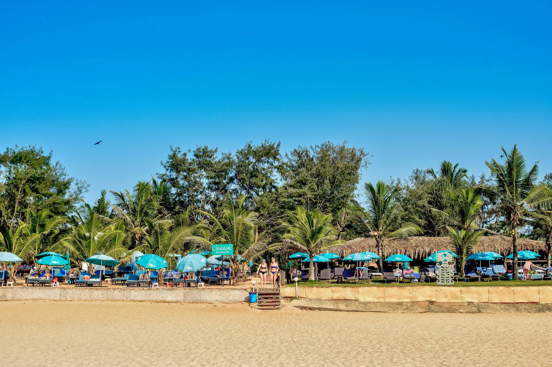 Chalston Beach Resort - zdjęcie 8