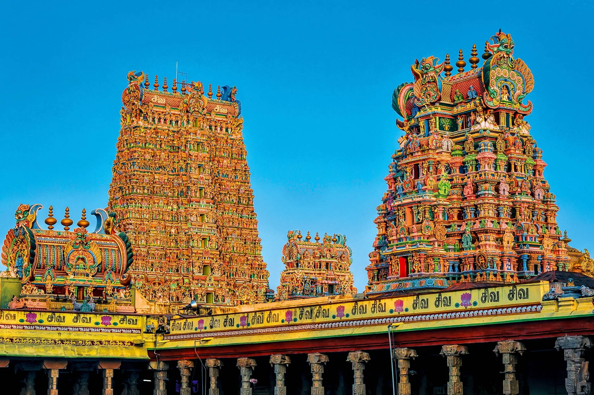 Tamil Nadu I Kerala - Coś Dla Ducha, Coś Dla Ciała Z Wypoczynkiem Na Goa - zdjęcie 10