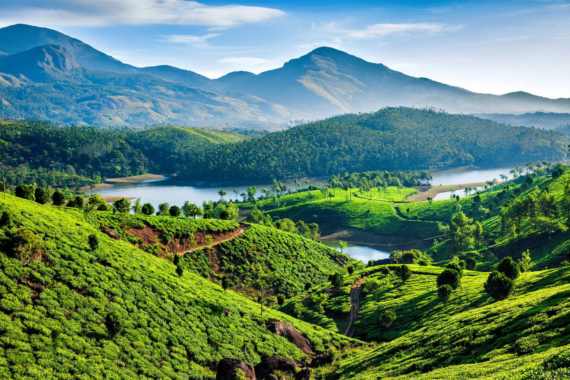 Tamil Nadu I Kerala - Coś Dla Ducha, Coś Dla Ciała Z Wypoczynkiem Na Goa - zdjęcie 26
