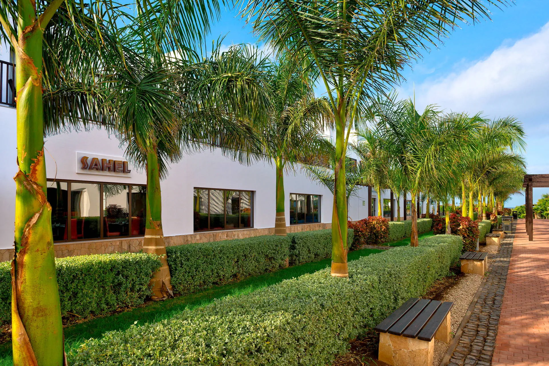 Melia Dunas Beach Resort & Spa - zdjęcie 11