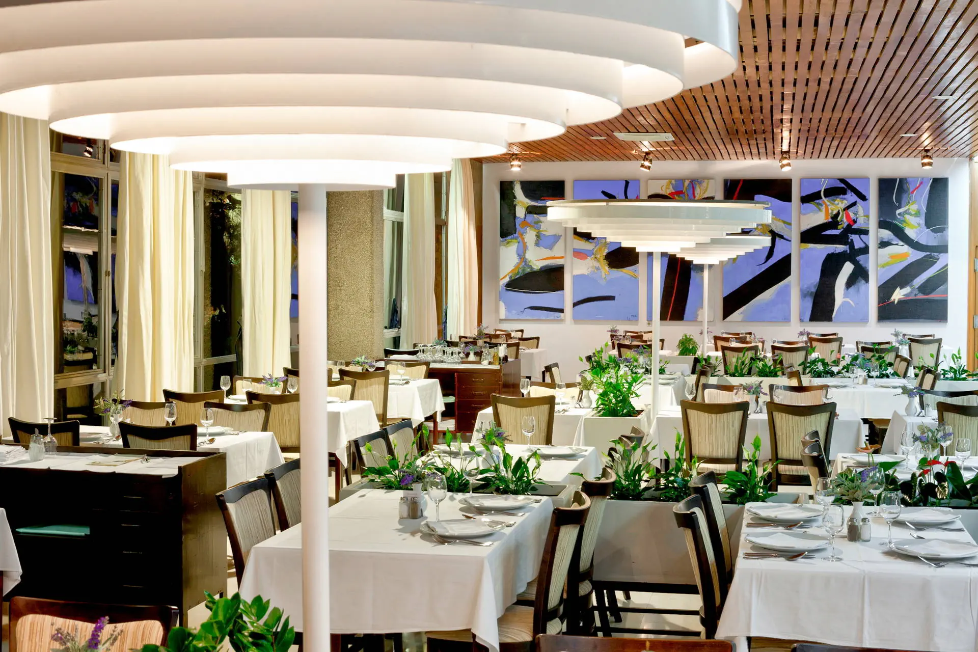 Bluesun Maestral