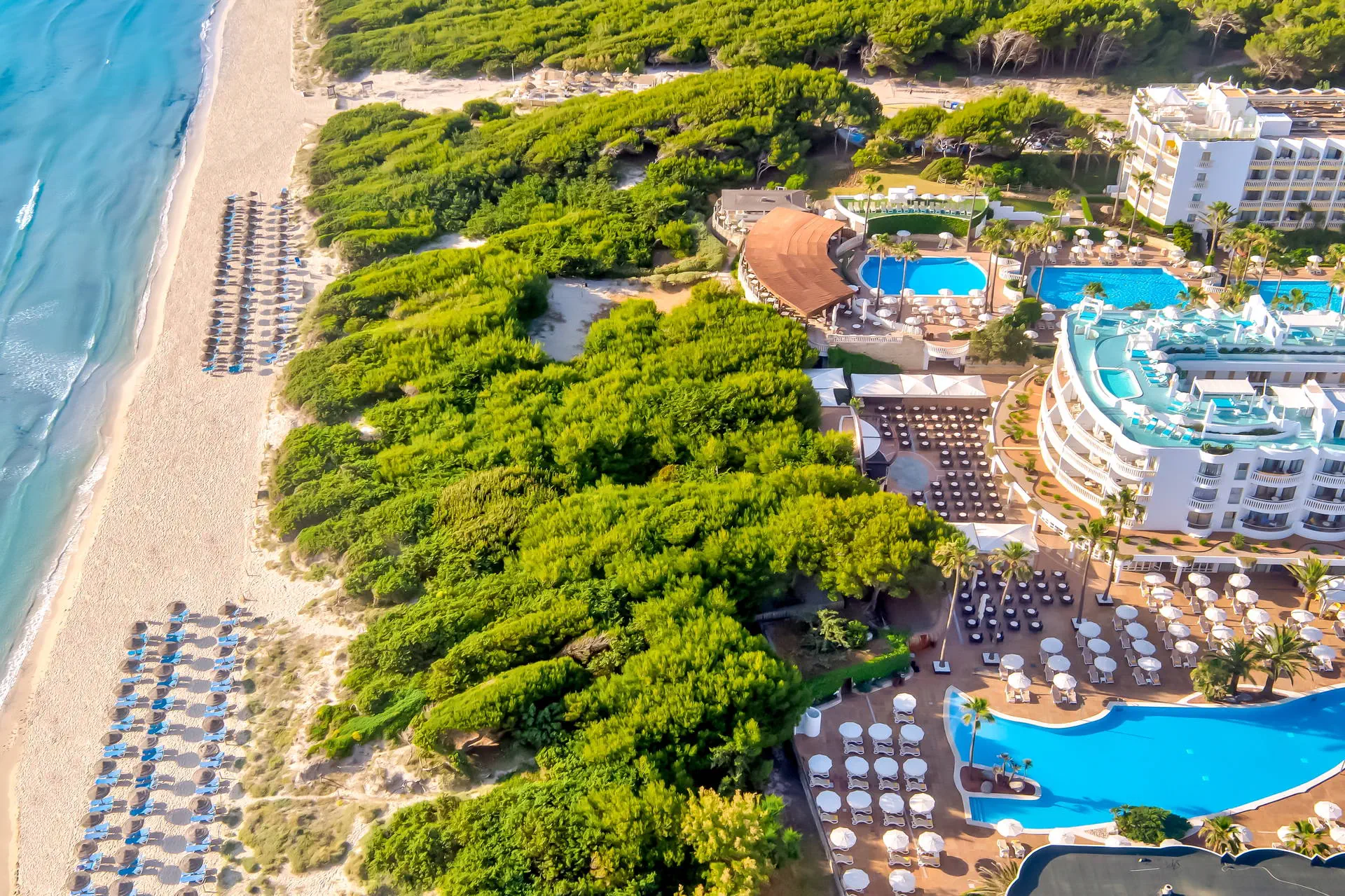Iberostar Selection Albufera Park