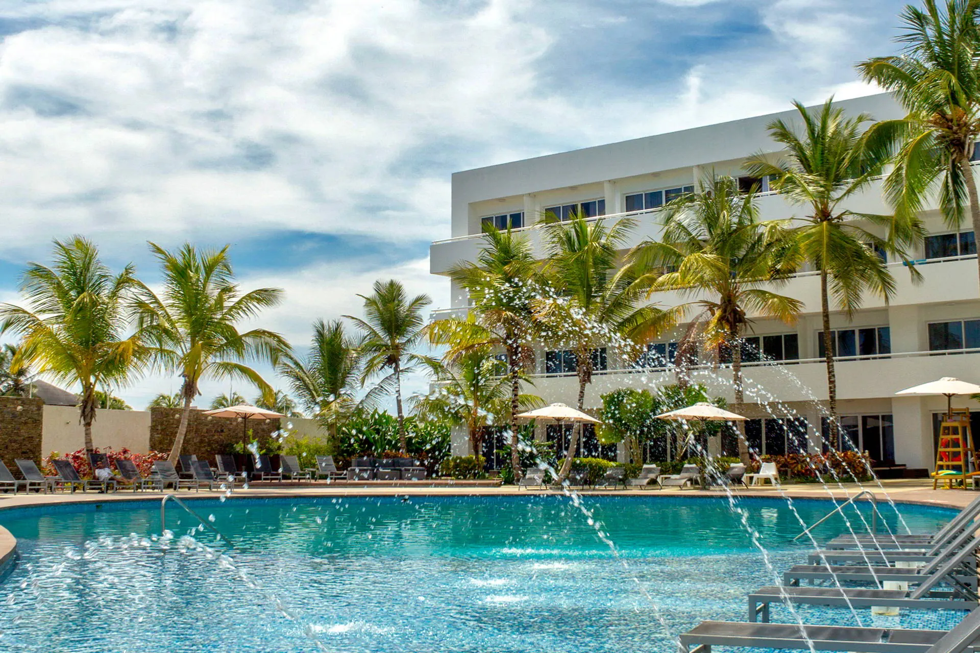 LD Plus Palm Beach - zdjęcie 4