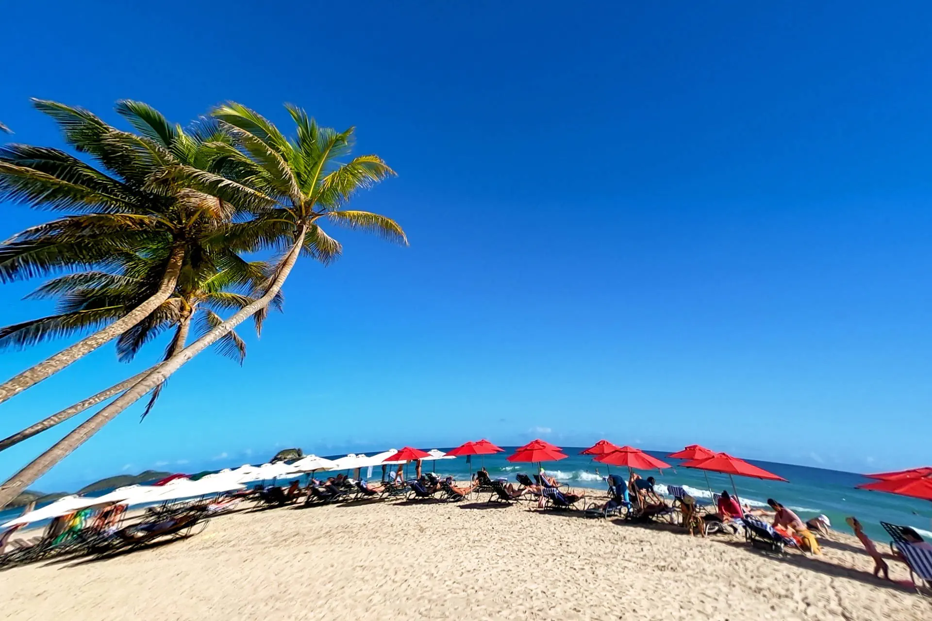 LD Palm Beach (Playa El Agua) - zdjęcie 8