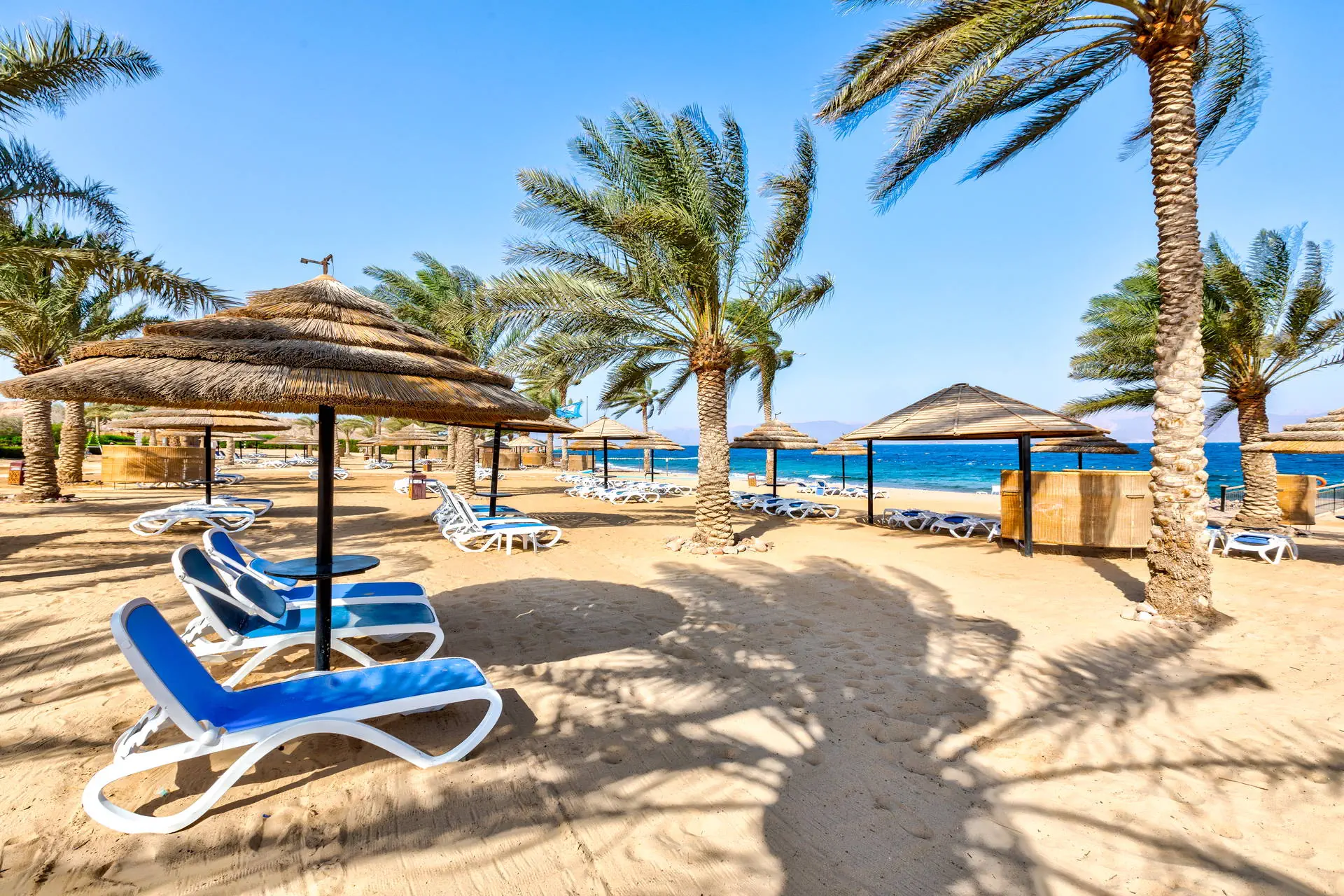 Movenpick Resort & Spa Tala Bay - zdjęcie 10