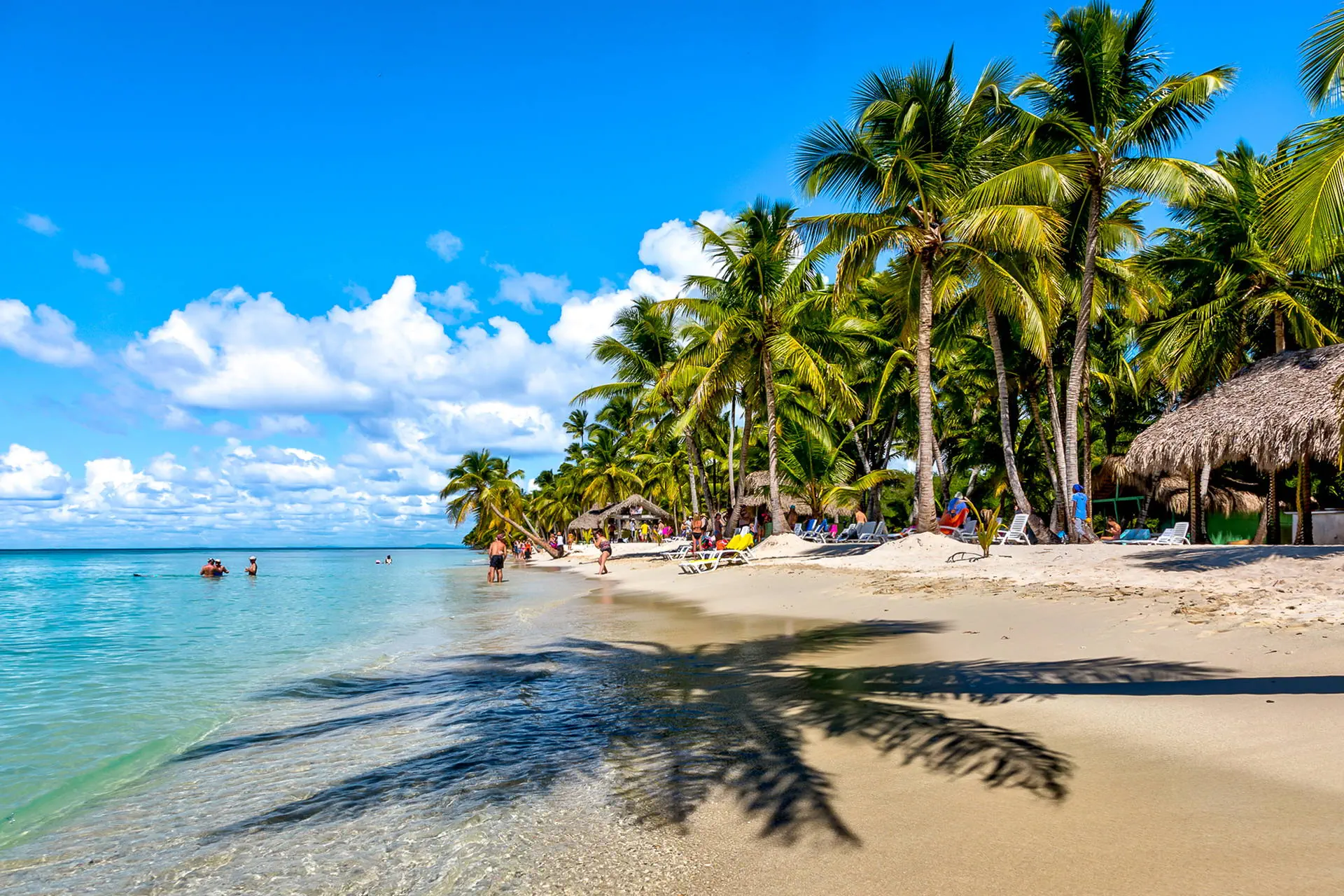 Dominicana completa - zdjęcie 3