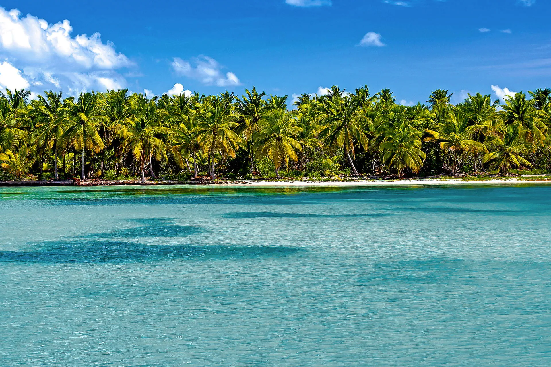 Dominicana completa - zdjęcie 15