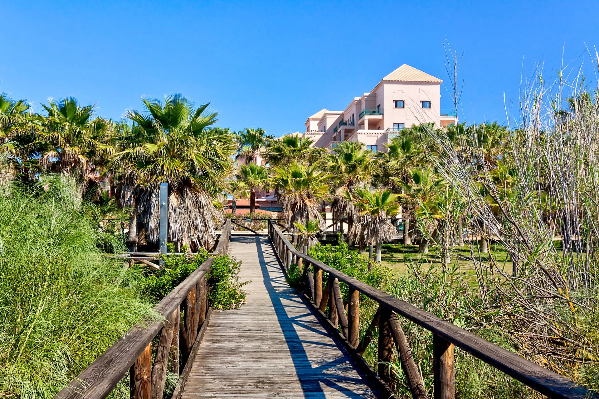 Playacanela