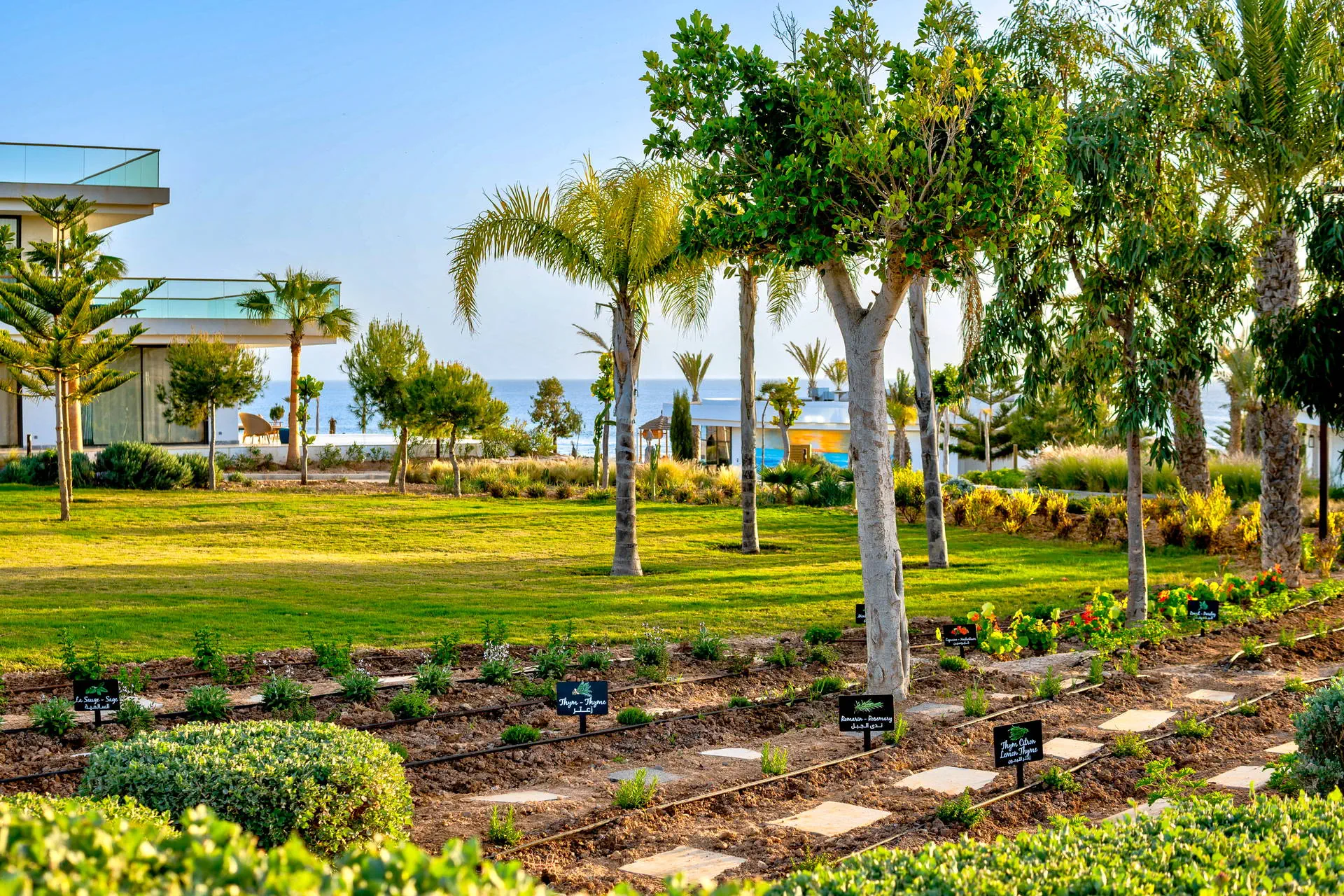Hyatt Regency Taghazout - zdjęcie 19