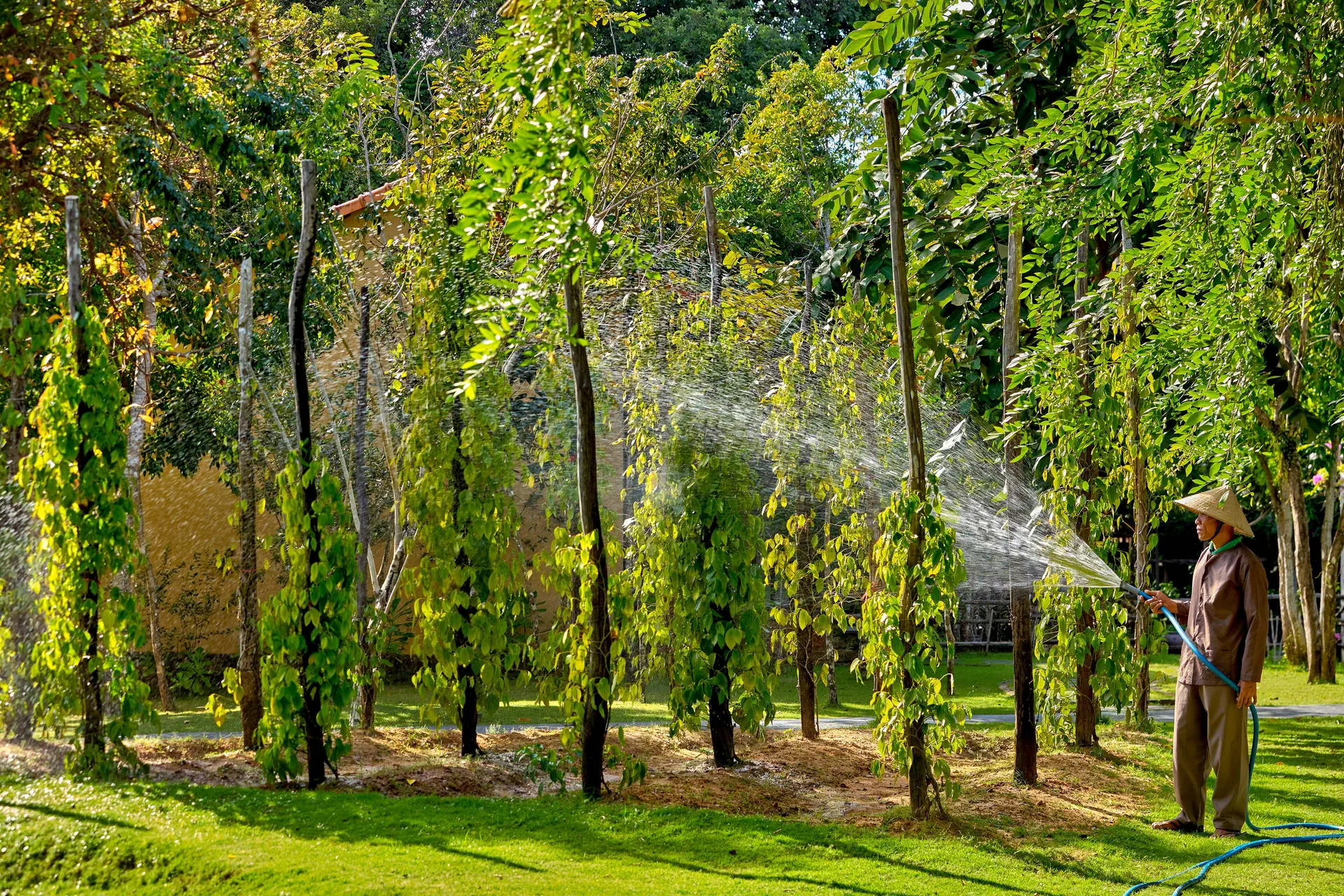 Green Bay Phu Quoc Resort - zdjęcie 29