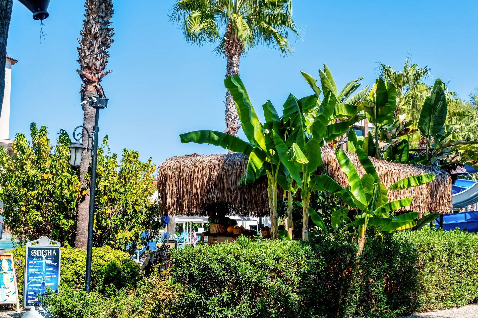 Bella Resort - zdjęcie 32
