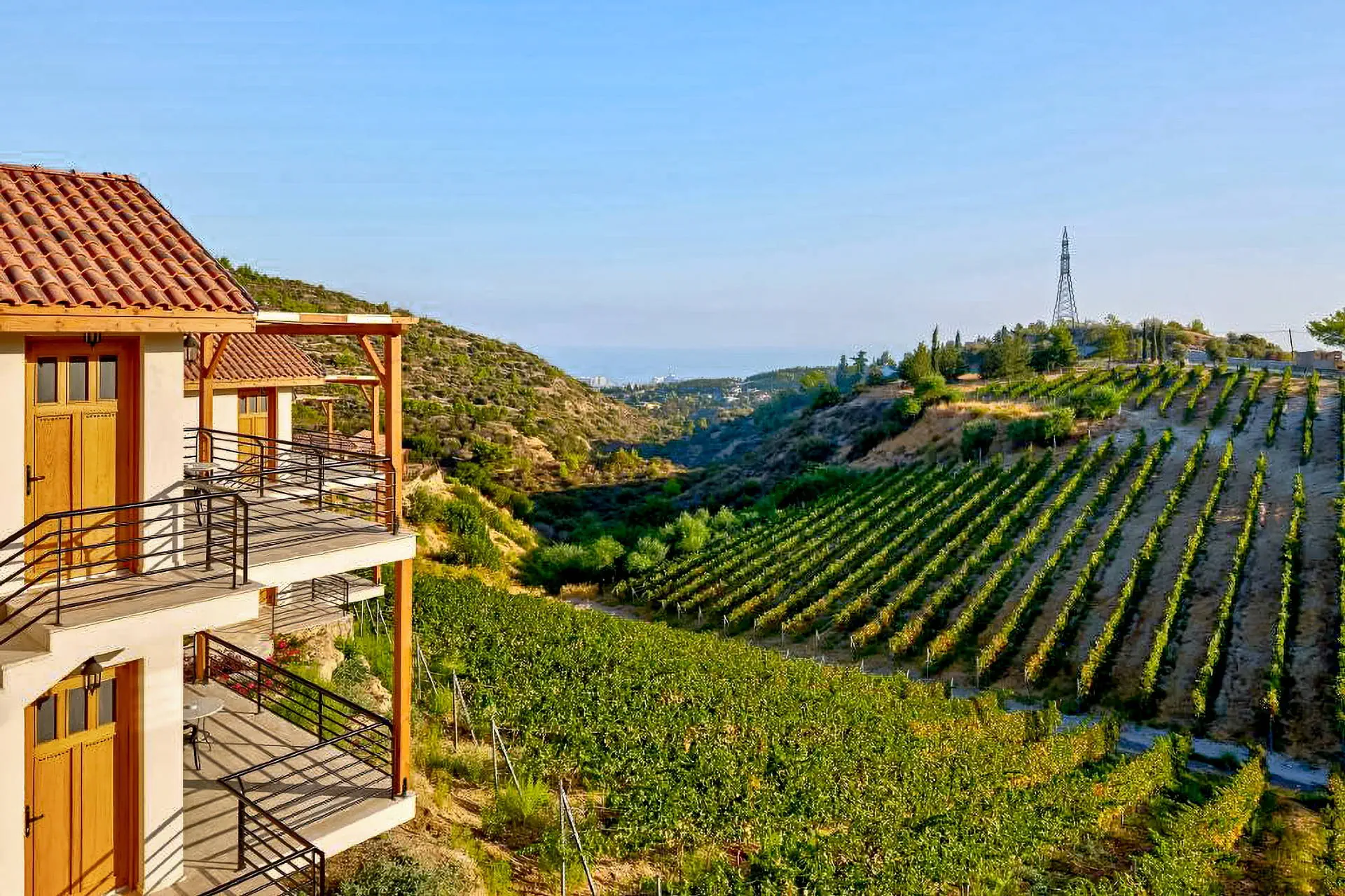 Gillham Vineyard - zdjęcie 10