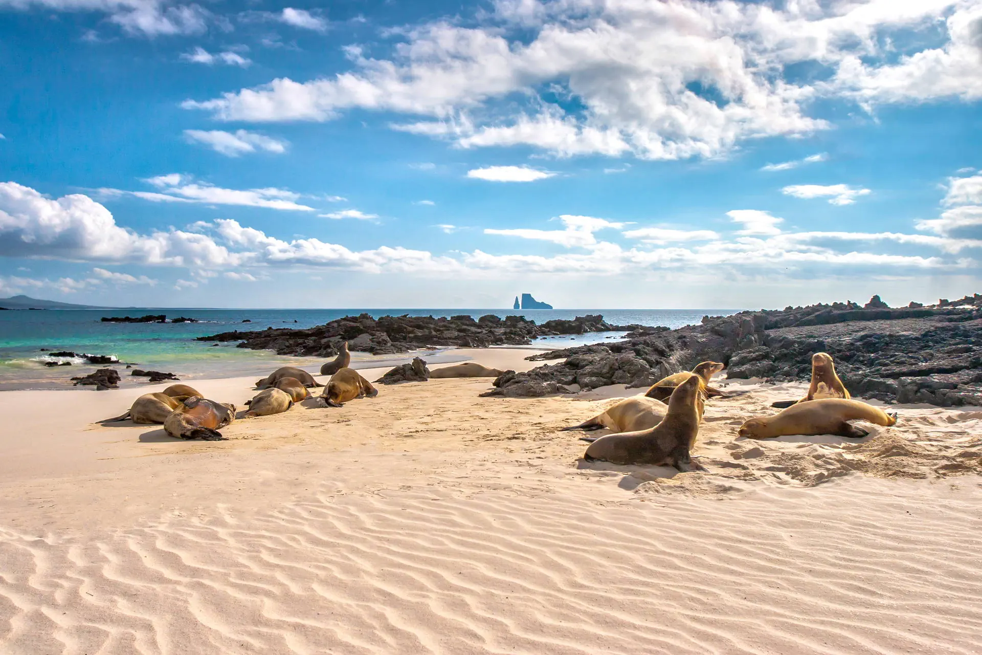 Z Andów na Galapagos - zdjęcie 2