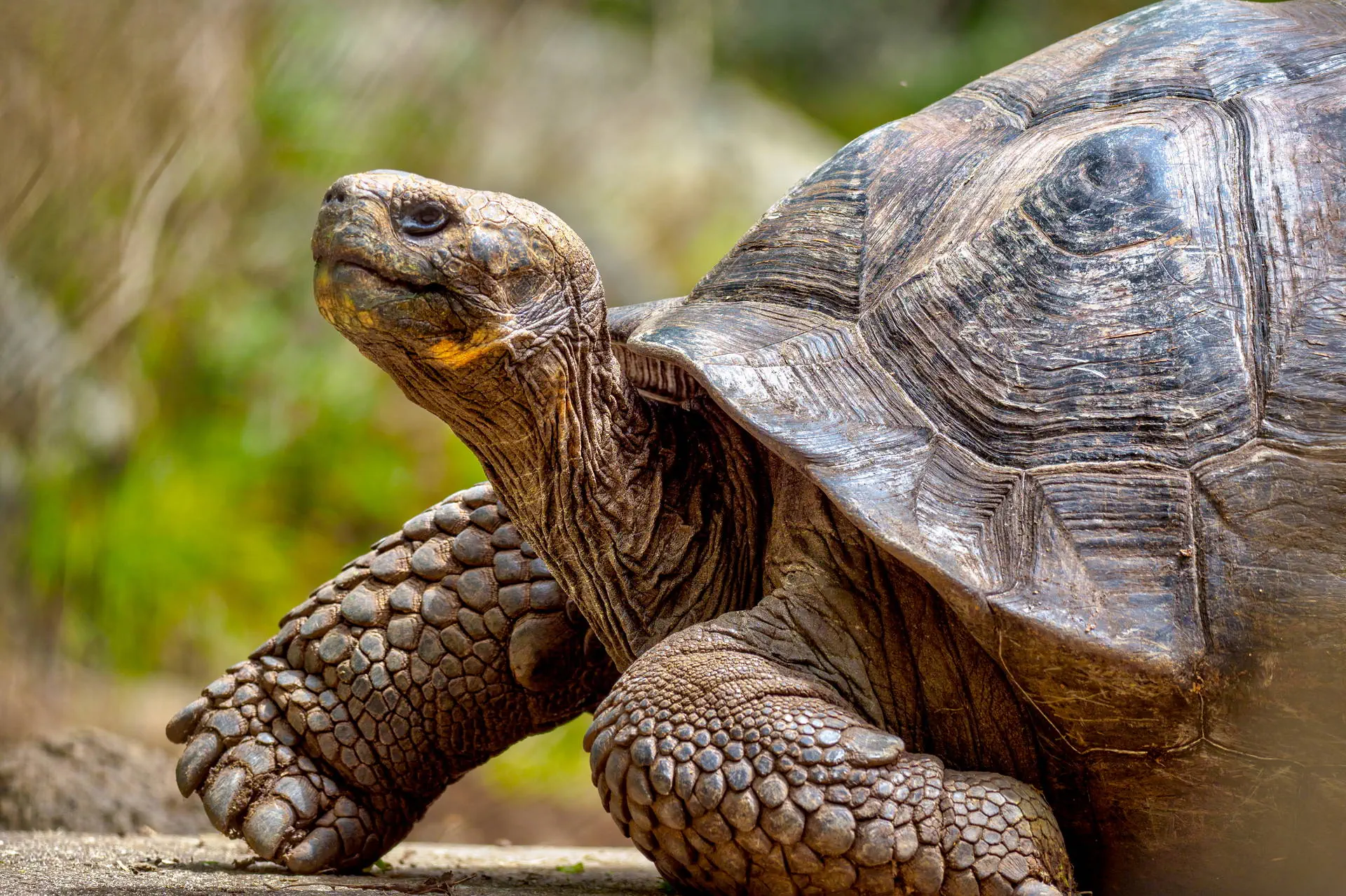 Z Andów na Galapagos - zdjęcie 44