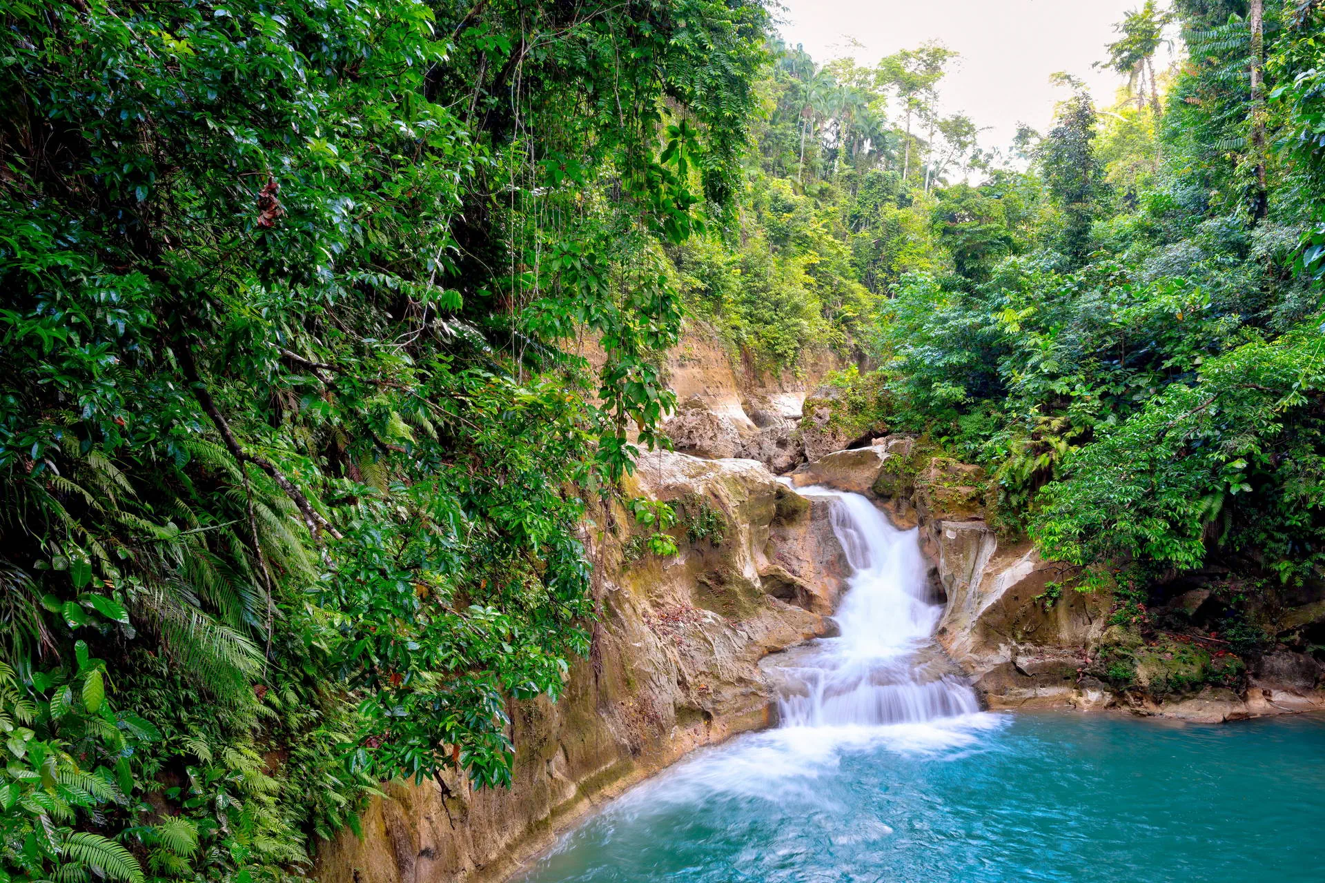 Egzotyka Light rejsowa - Bohol - zdjęcie 11