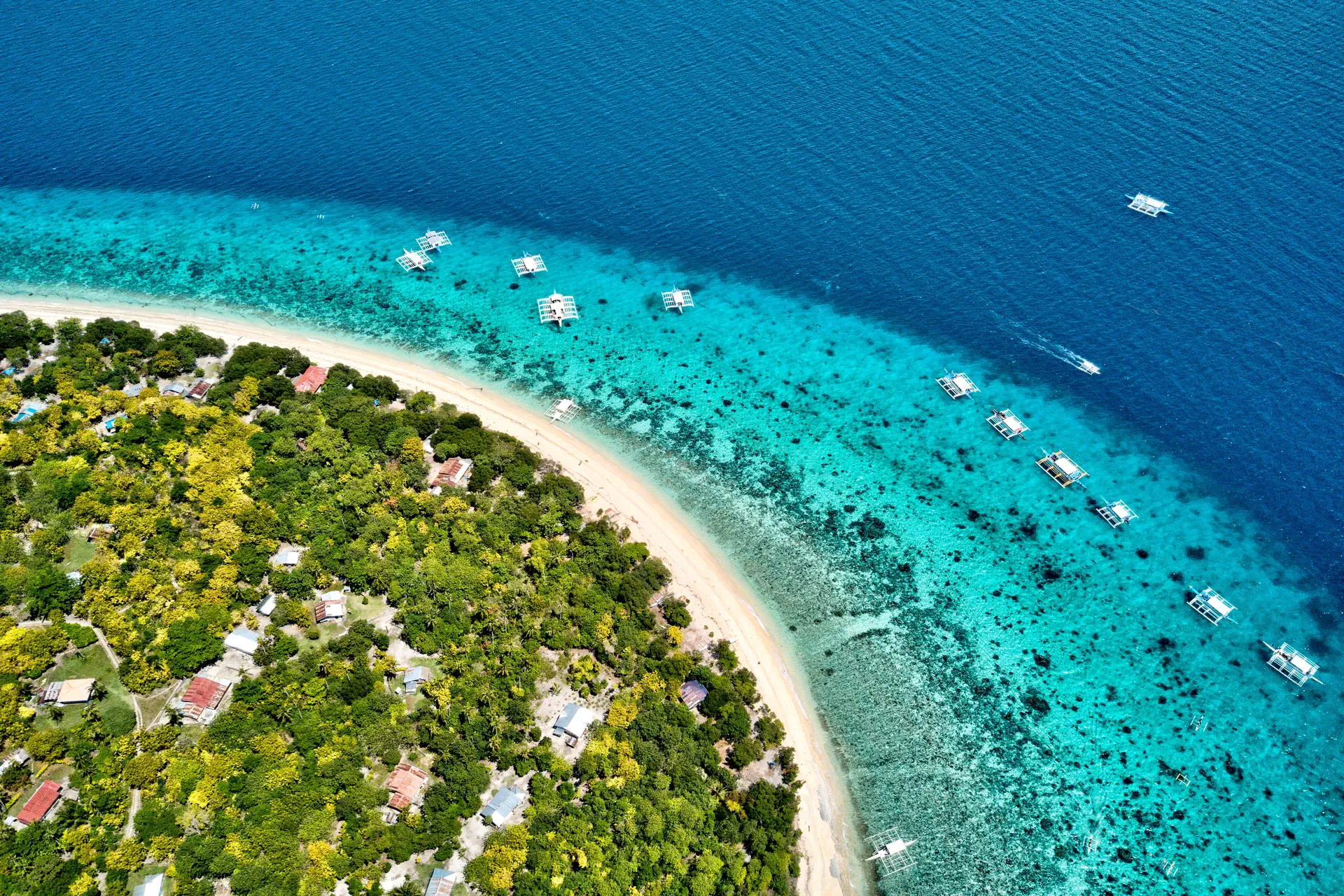 Egzotyka Light rejsowa - Bohol - zdjęcie 3