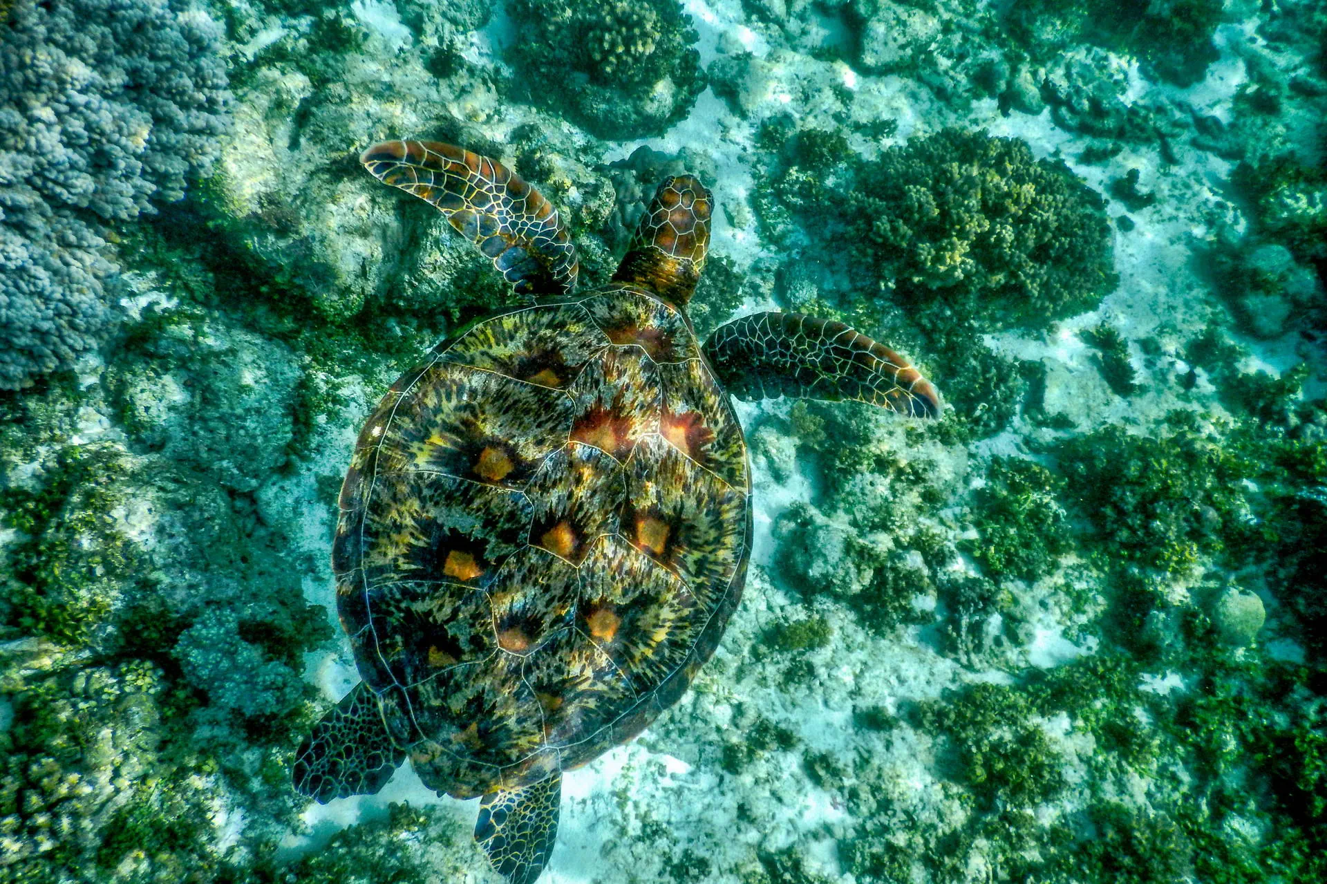 Egzotyka Light rejsowa - Bohol - zdjęcie 15