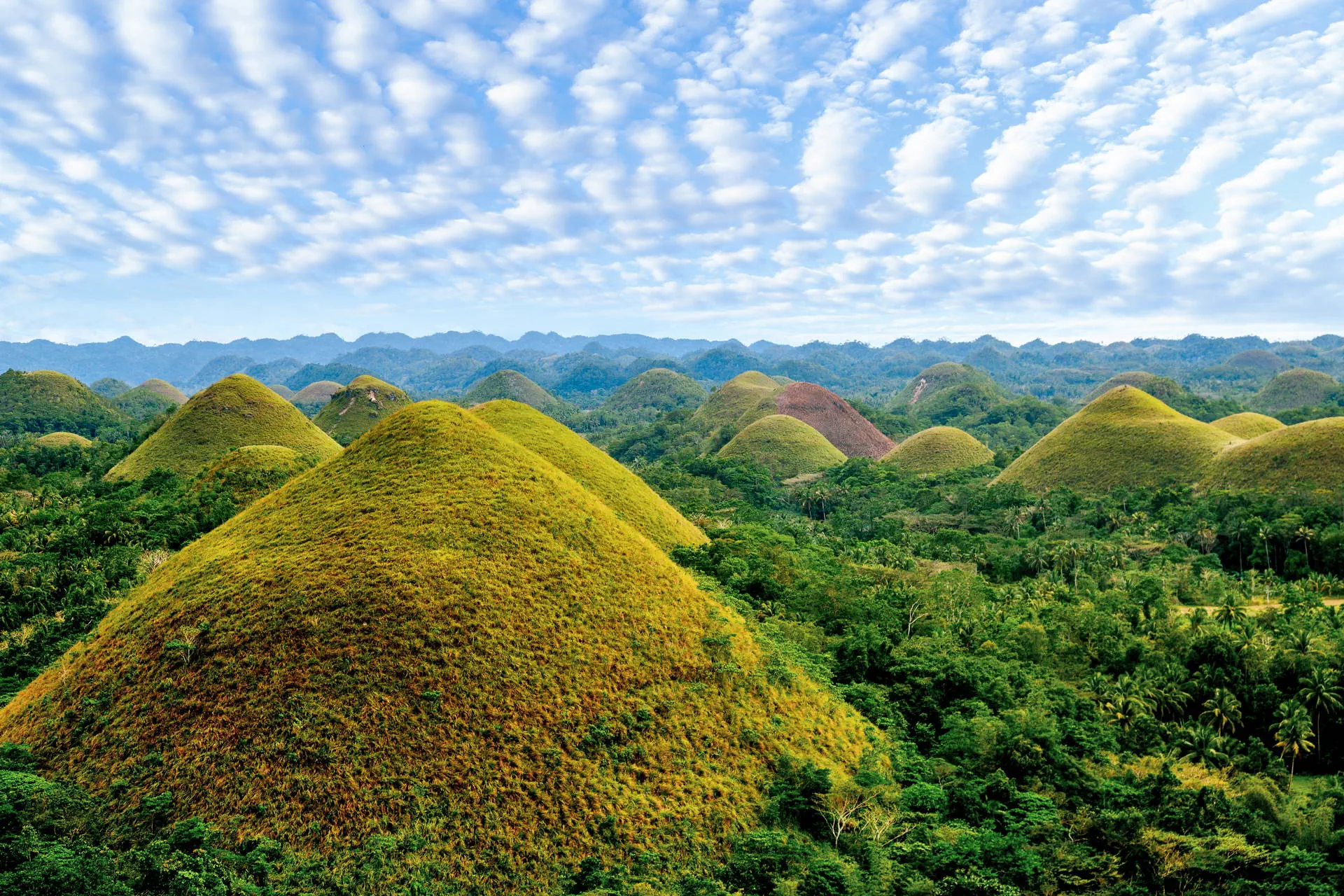Egzotyka Light rejsowa - Bohol - zdjęcie 12