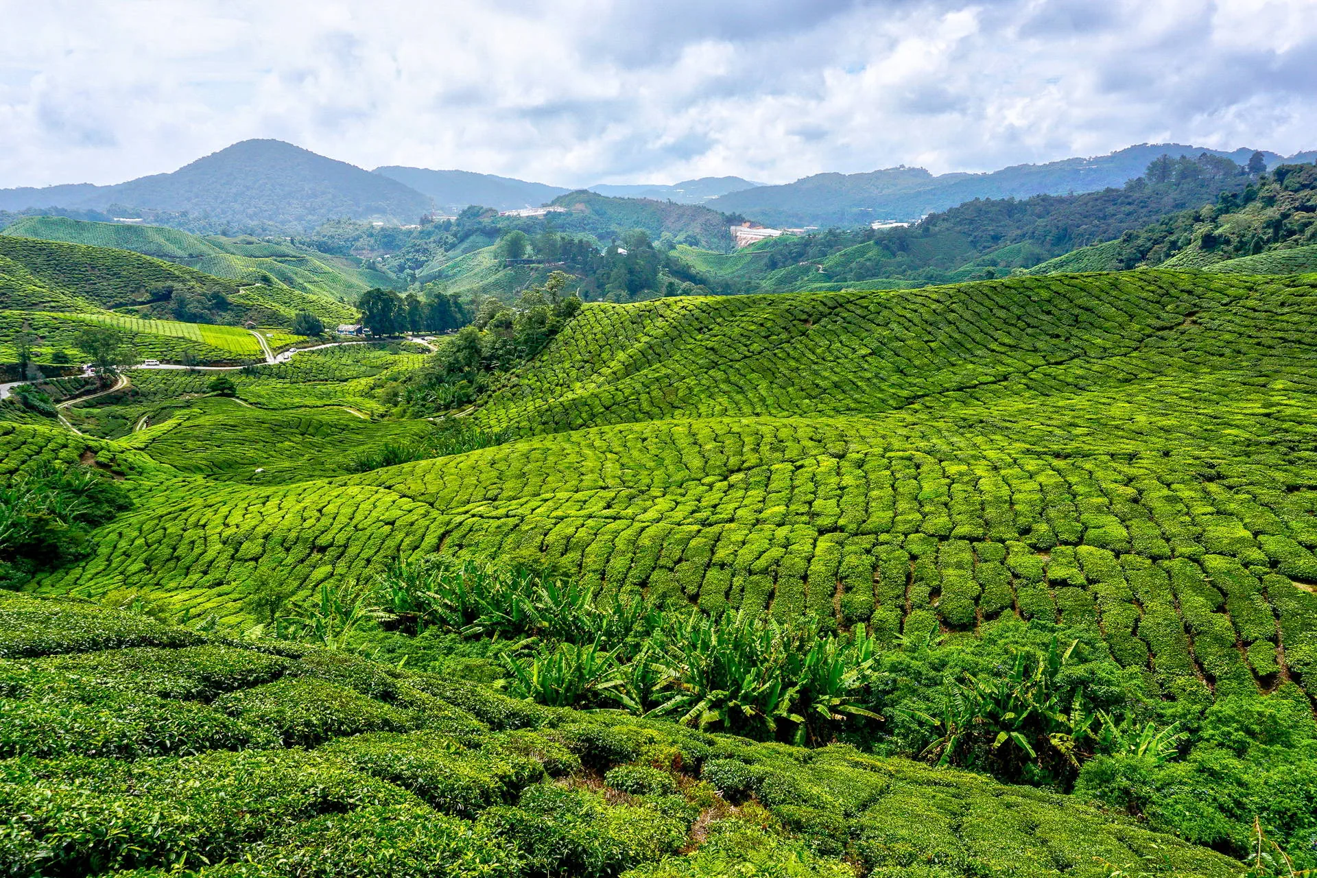 Singapur i Malezja - Azjatyckie Tygrysy z wypoczynkiem na Langkawi - zdjęcie 13