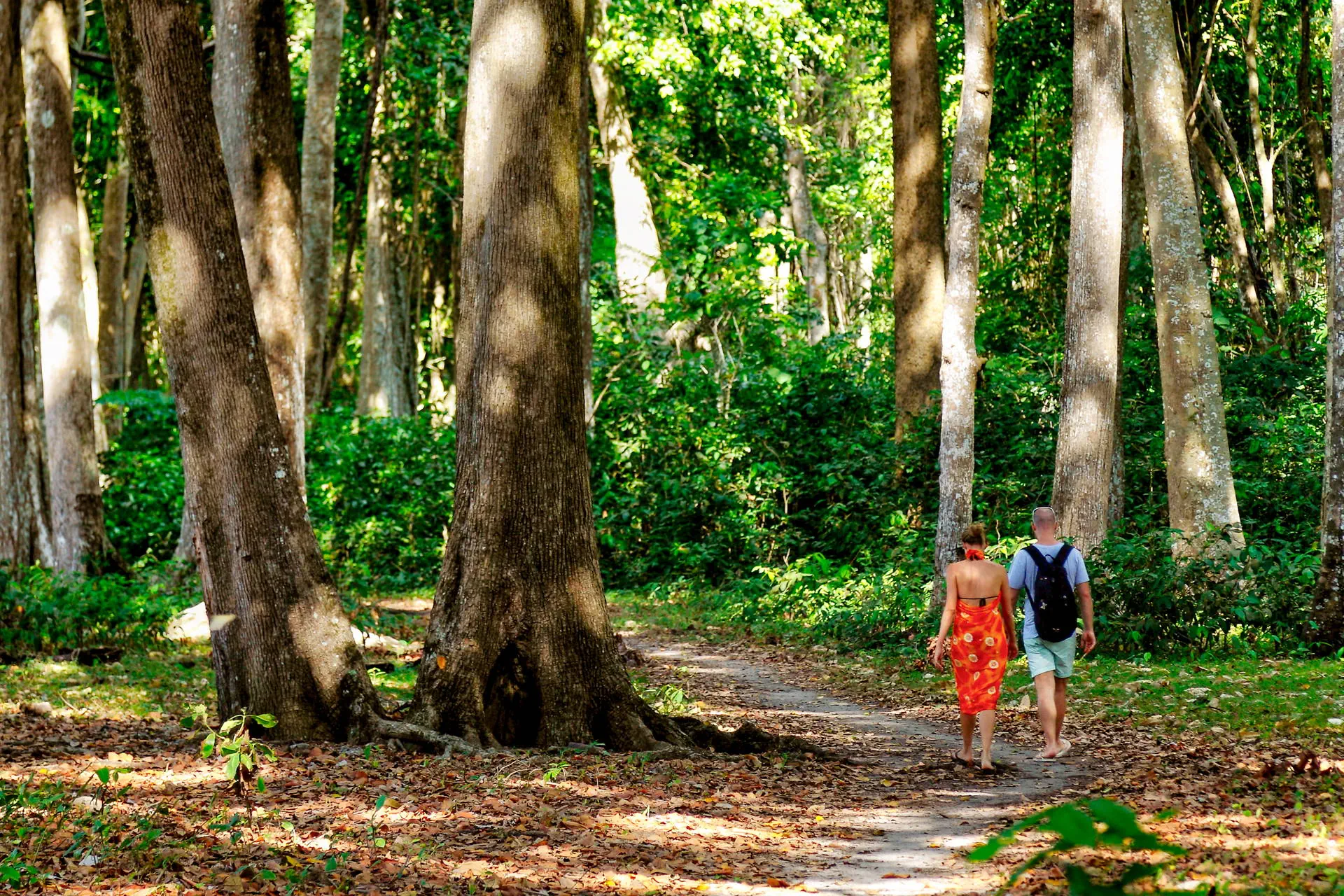 Barefoot at Havelock - zdjęcie 20