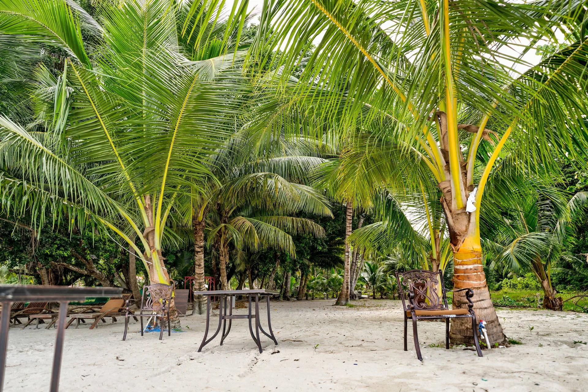 Sandyy Wavess Beach Resort - zdjęcie 4