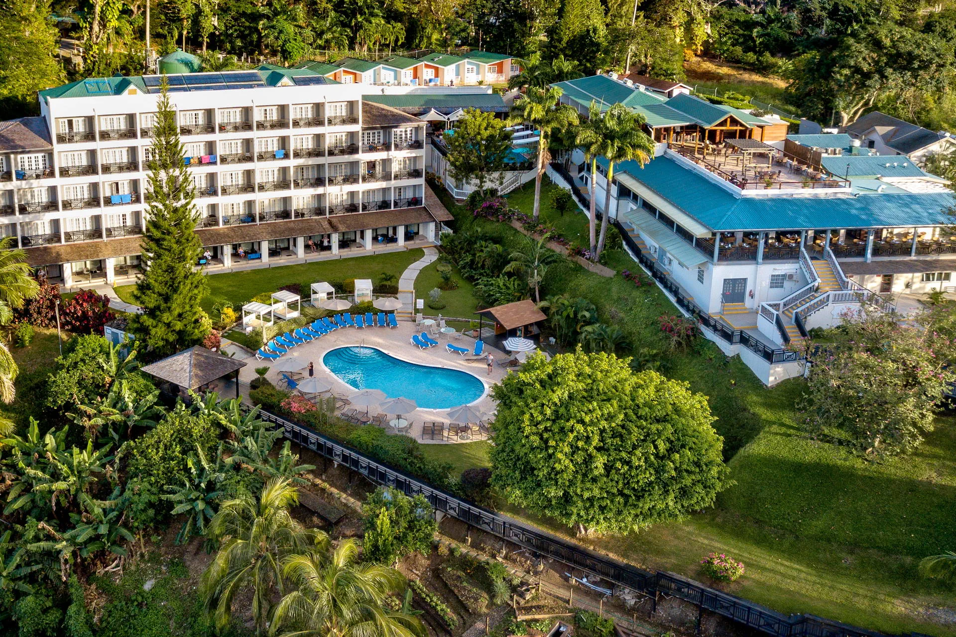 Egzotyka Light - Saint Lucia - zdjęcie 3