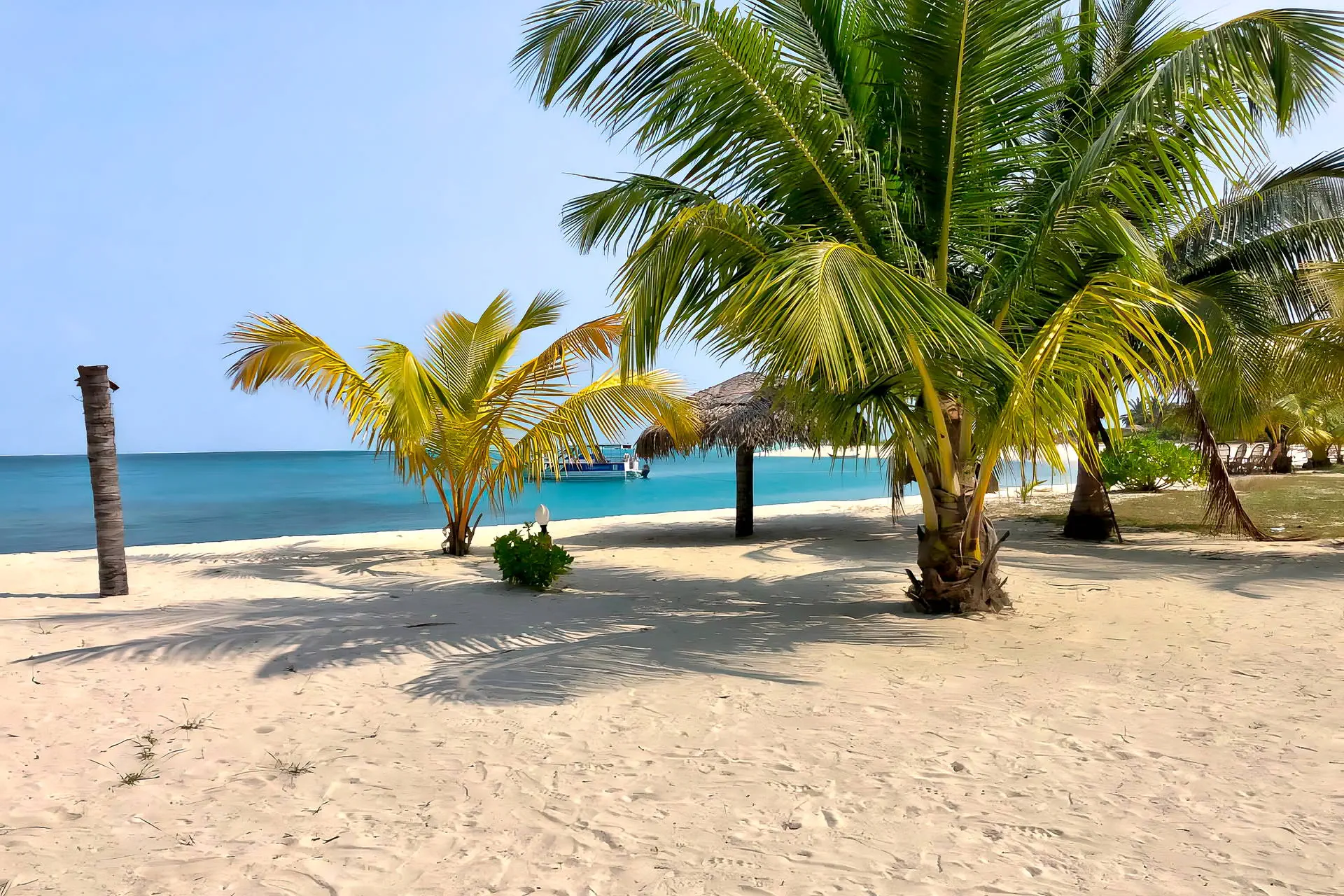 Bangaram Island Resort - zdjęcie 8
