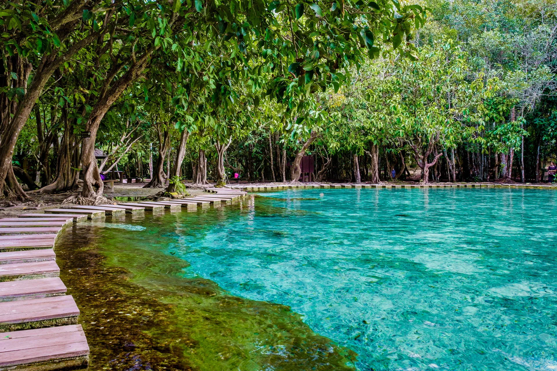 Phuket i magiczna przygoda na Ko Samui - zdjęcie 15