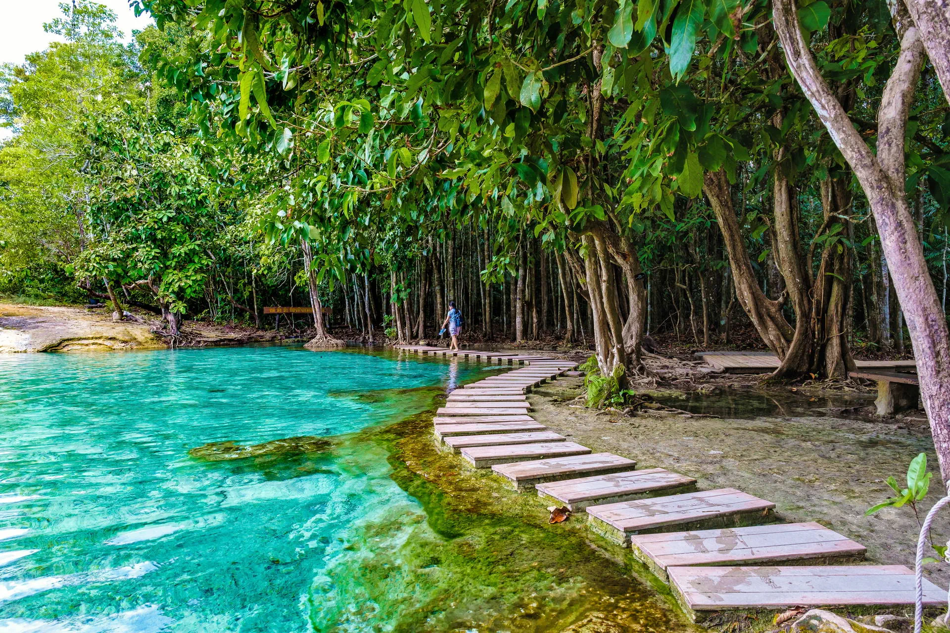 Phuket i magiczna przygoda na Ko Samui - zdjęcie 12