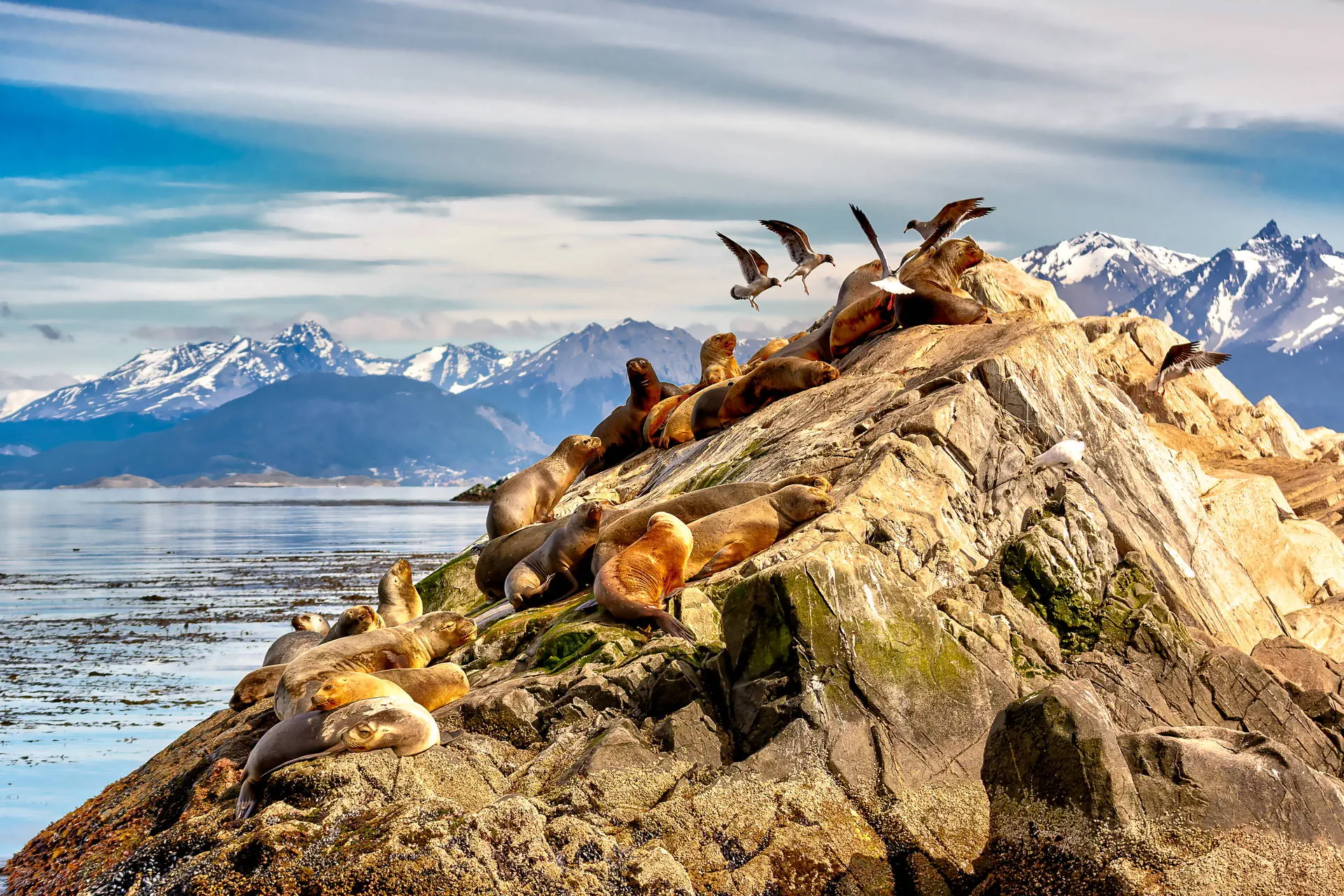 Smaki Patagonii – Patagonia Express - zdjęcie 18