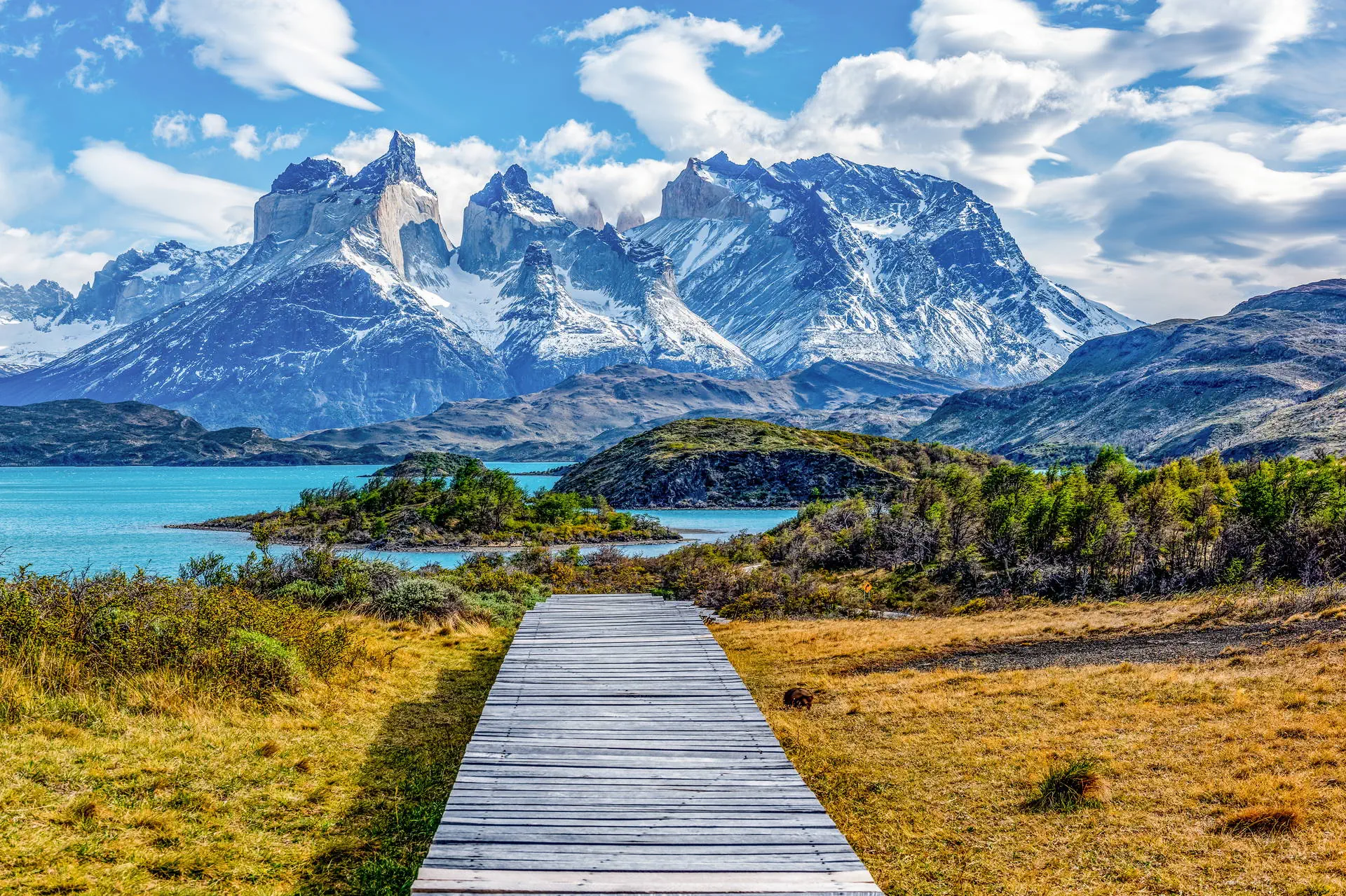 Smaki Patagonii – Patagonia Express - zdjęcie 28