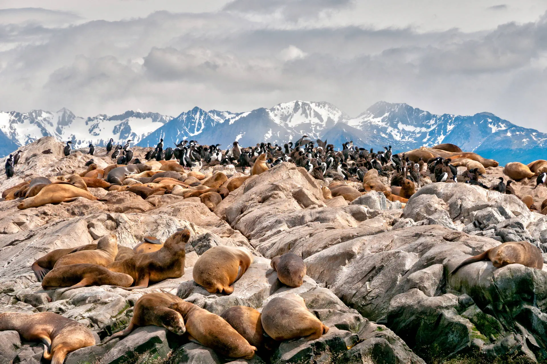 Smaki Patagonii – Patagonia Express - zdjęcie 3