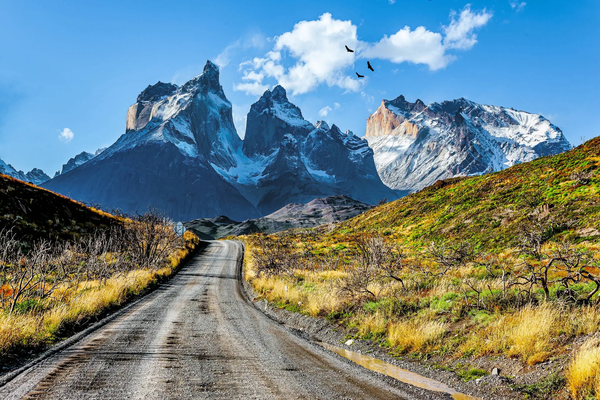 Smaki Patagonii – Patagonia Express - zdjęcie 5