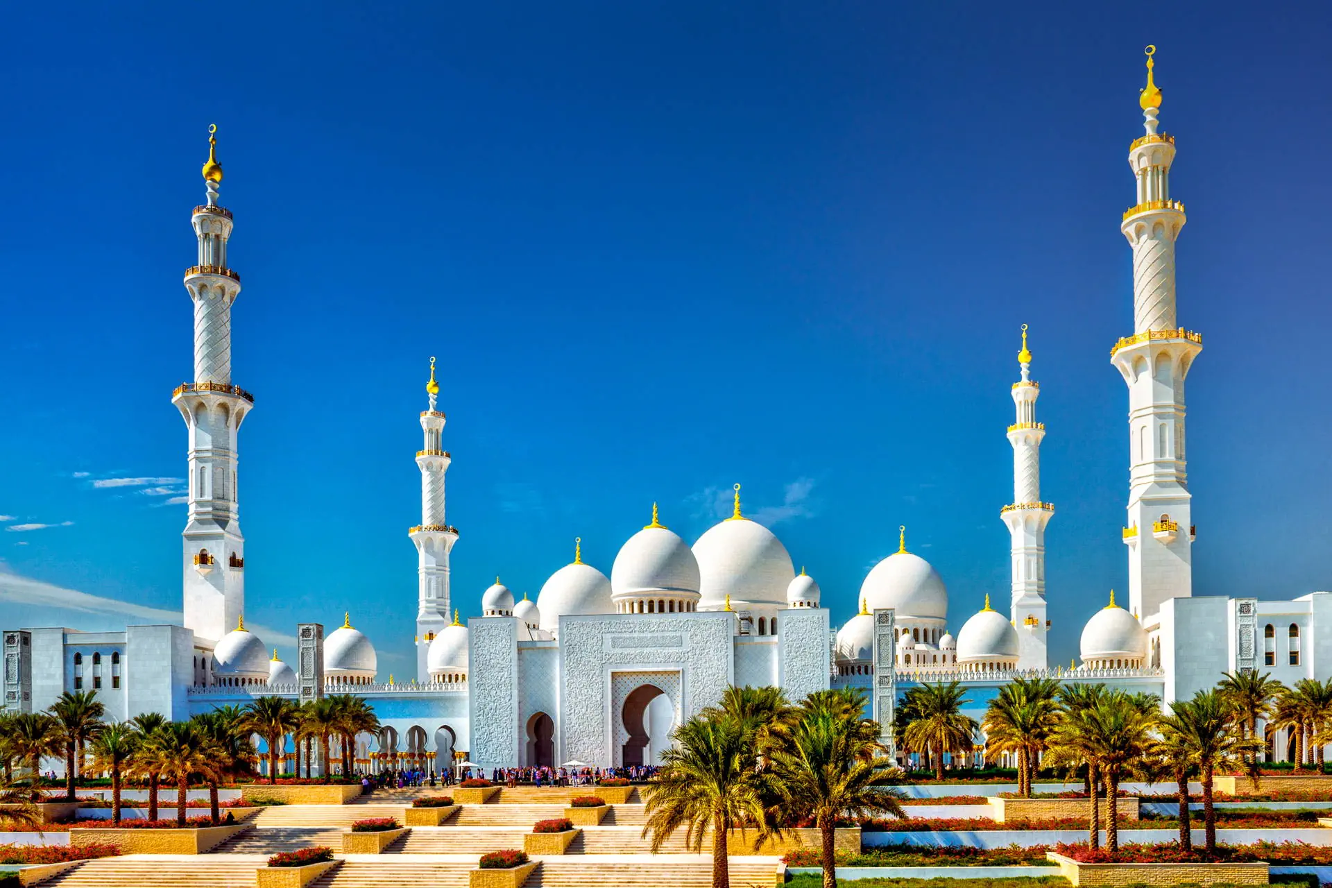 Egzotyka Light - Emiraty Arabskie - Premium - zdjęcie 20