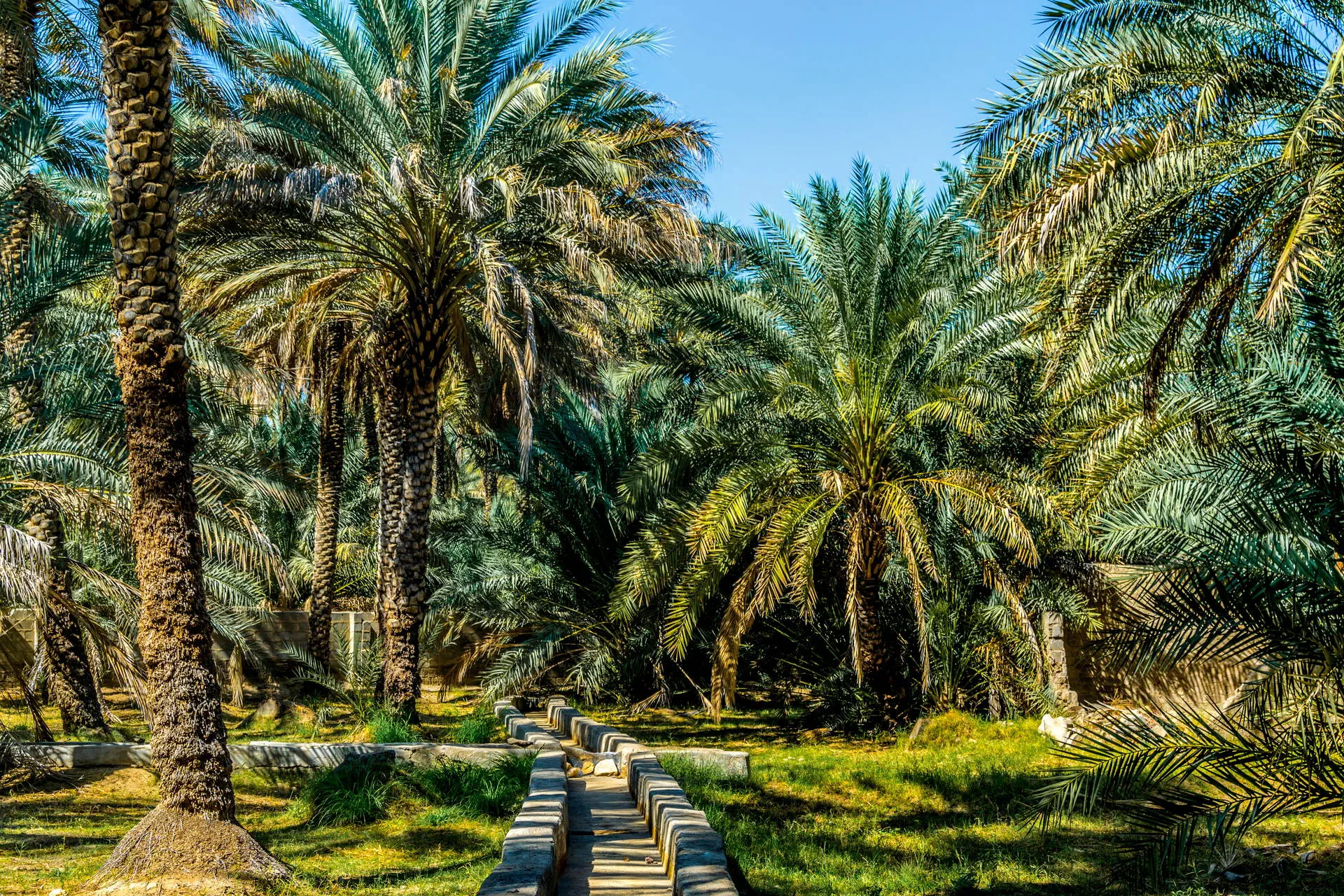 Emiraty w stylu Boho - zdjęcie 12