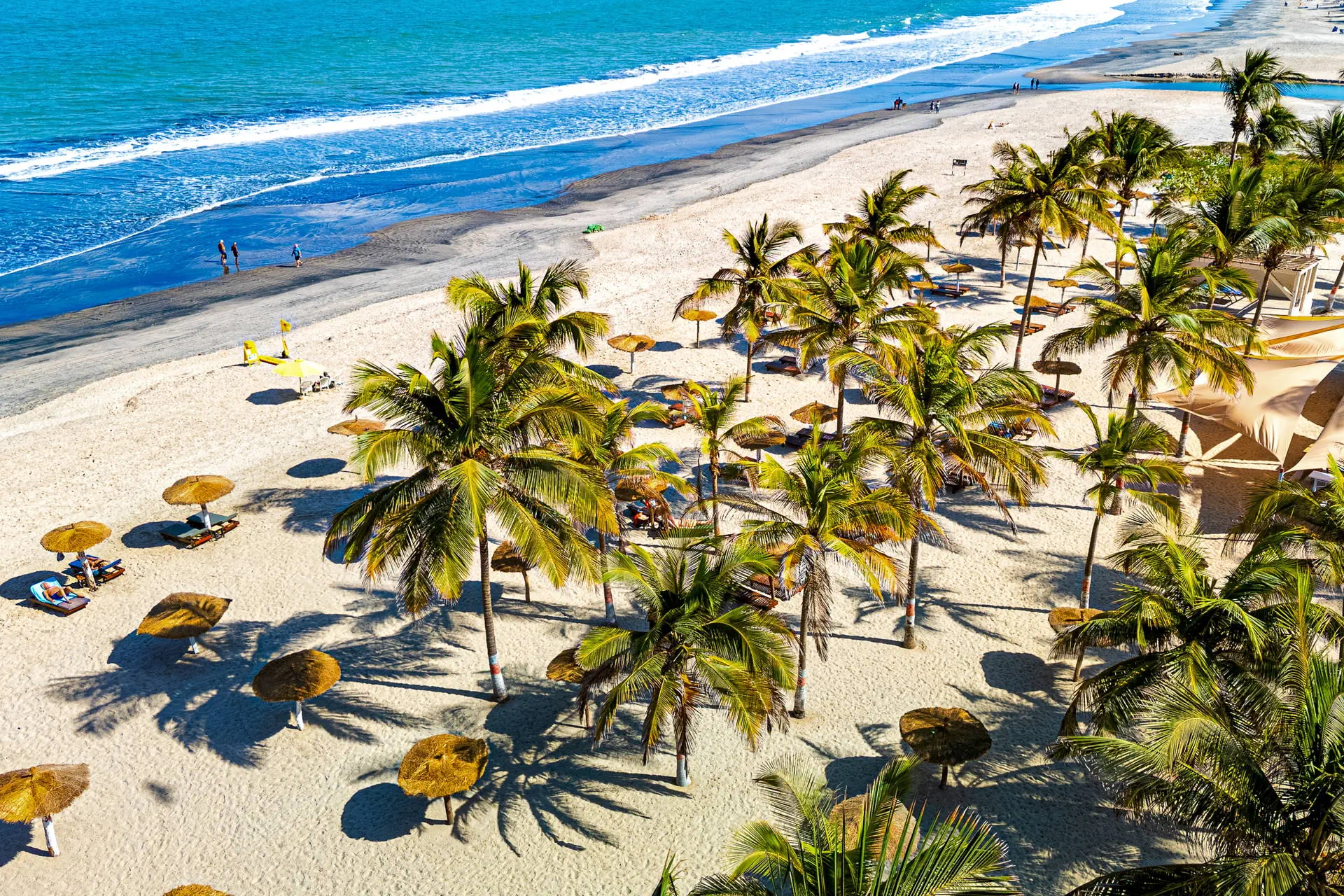 Palm Beach - zdjęcie 10