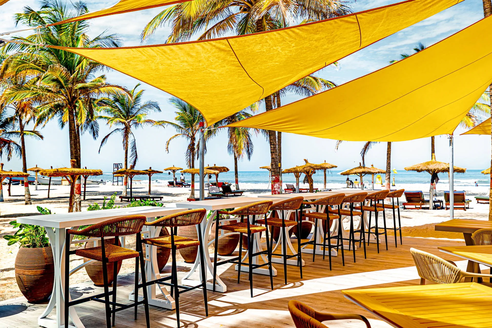 Palm Beach - zdjęcie 26