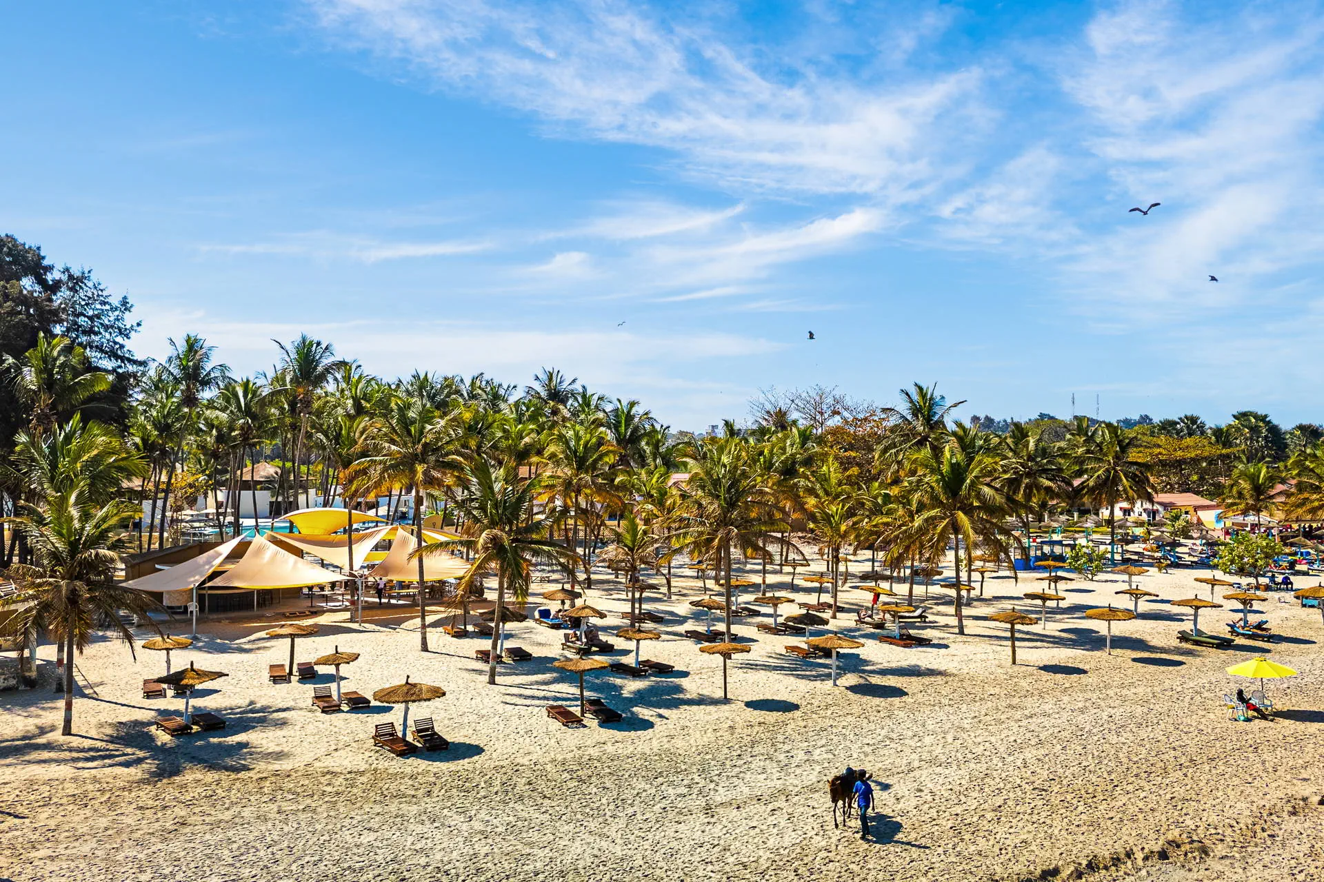 Palm Beach - zdjęcie 12