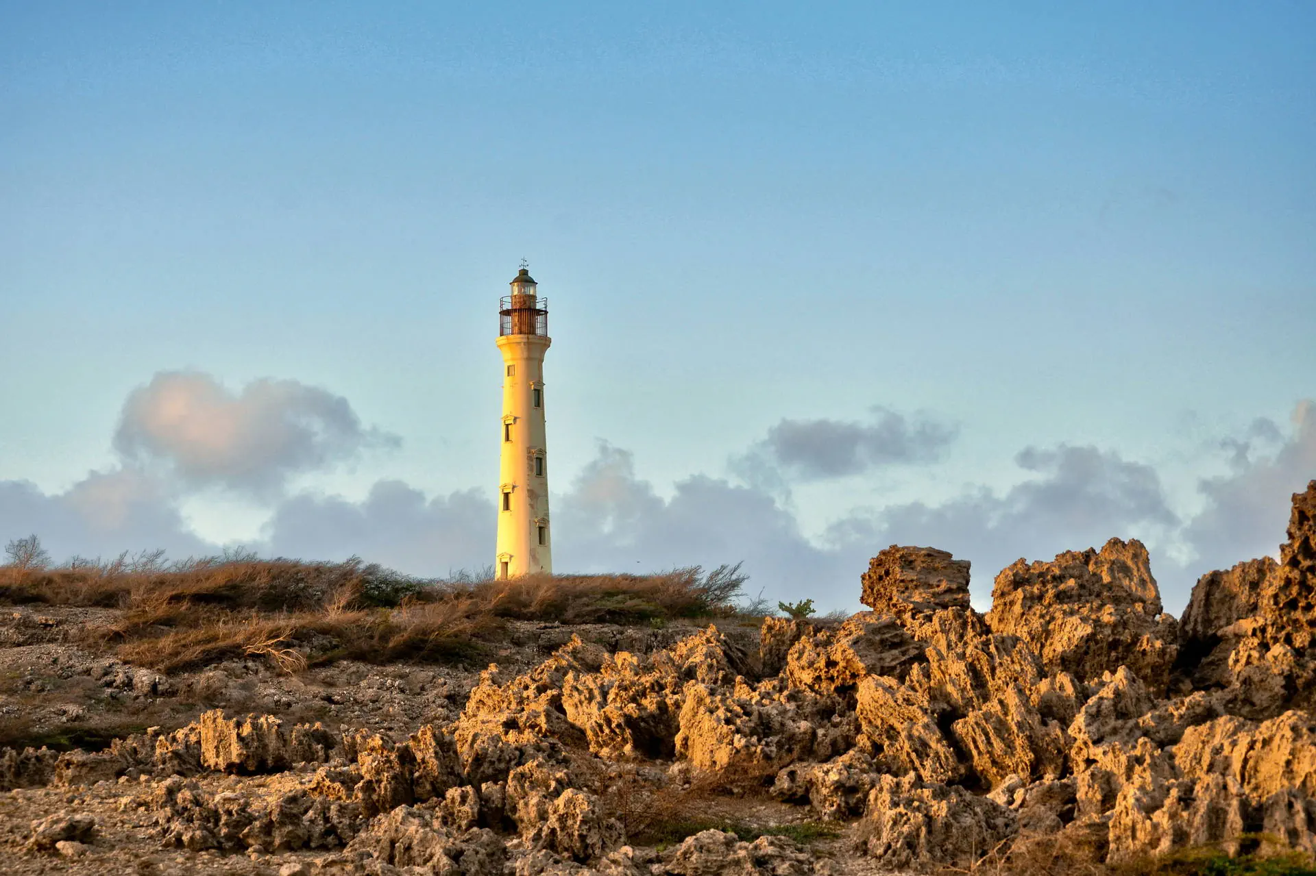 Egzotyka Light - Aruba - zdjęcie 28