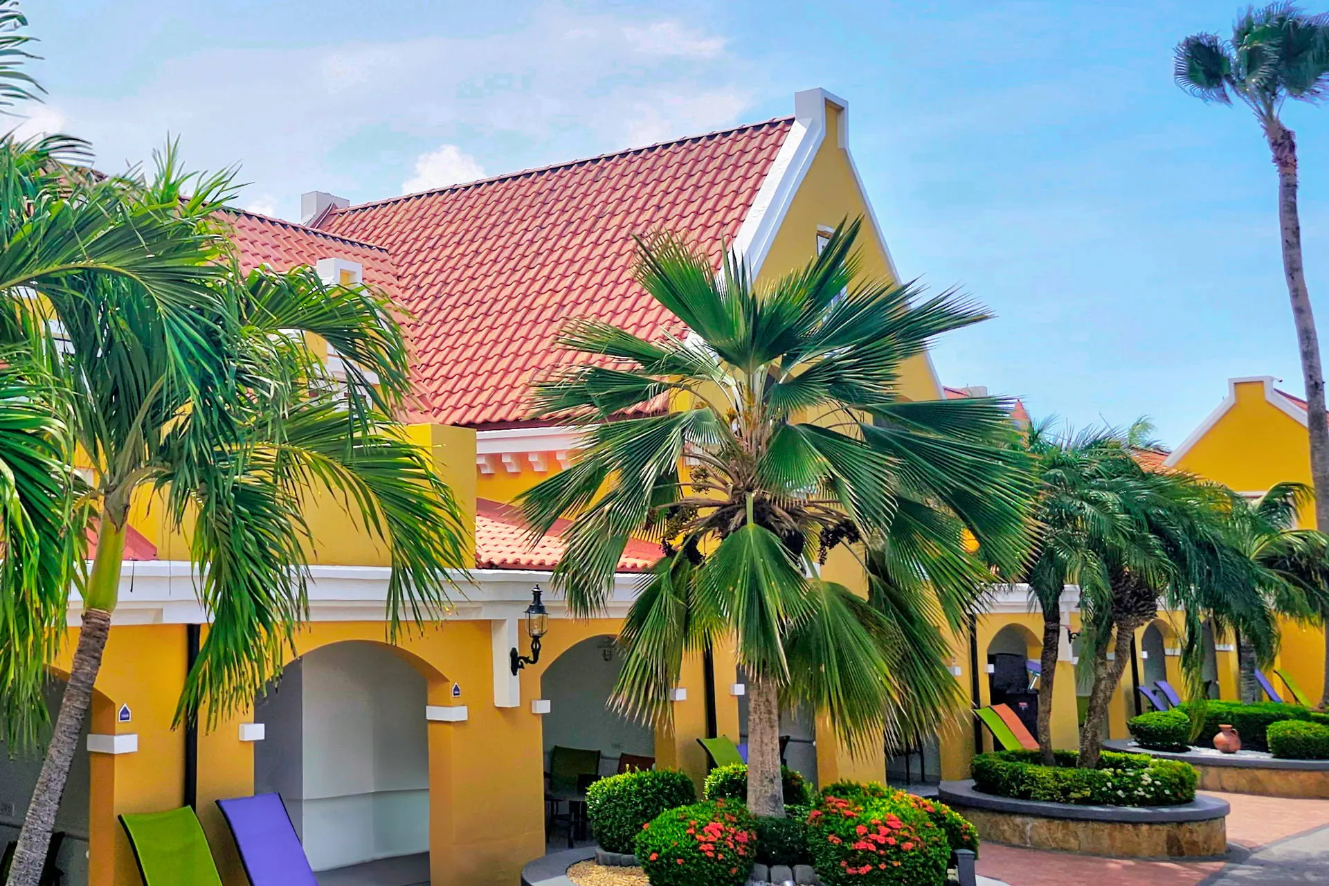 Egzotyka Light - Aruba - zdjęcie 11