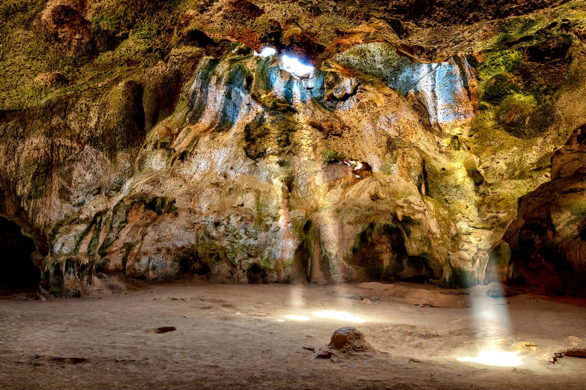Egzotyka Light - Aruba - zdjęcie 40