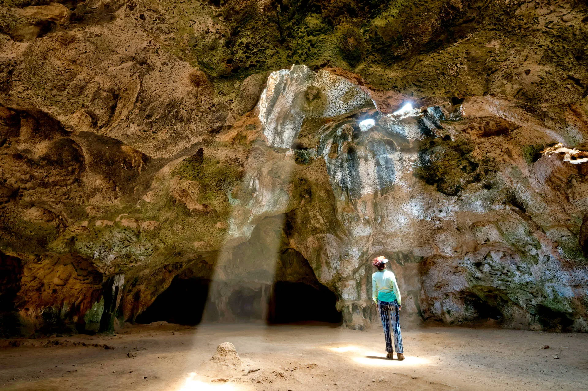 Egzotyka Light - Aruba - zdjęcie 31