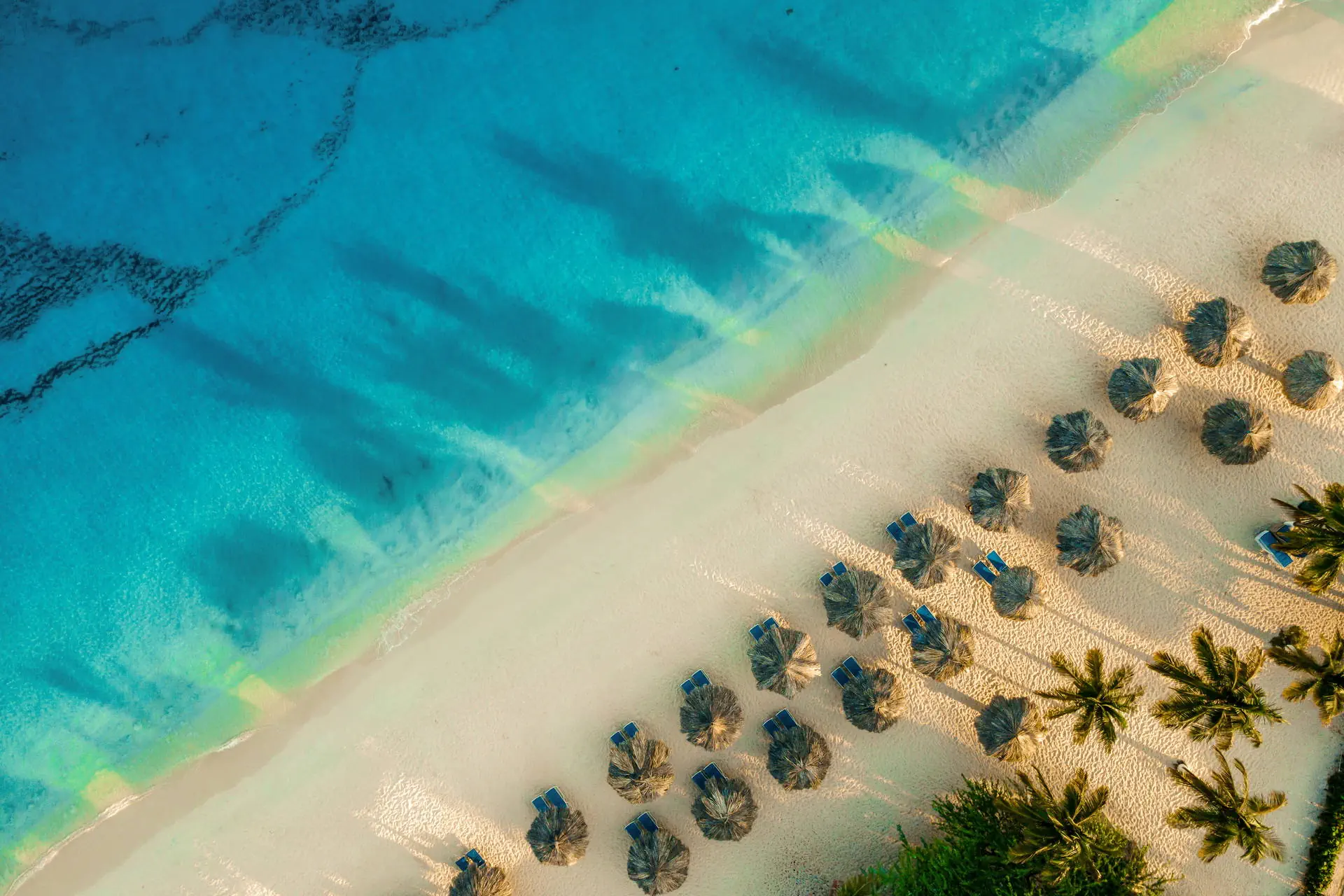 Egzotyka Light - Aruba - zdjęcie 10