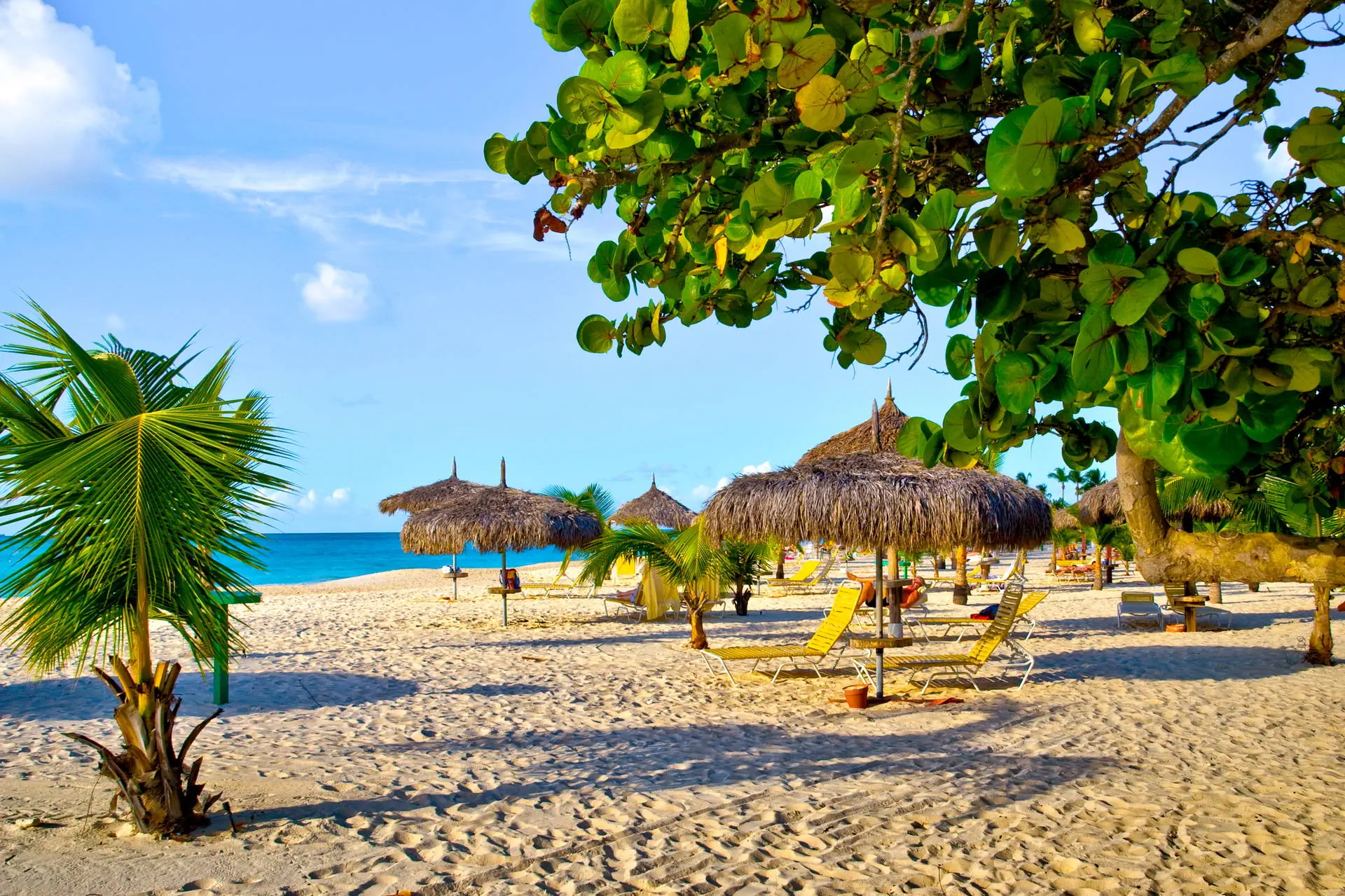 Egzotyka Light - Aruba - zdjęcie 30