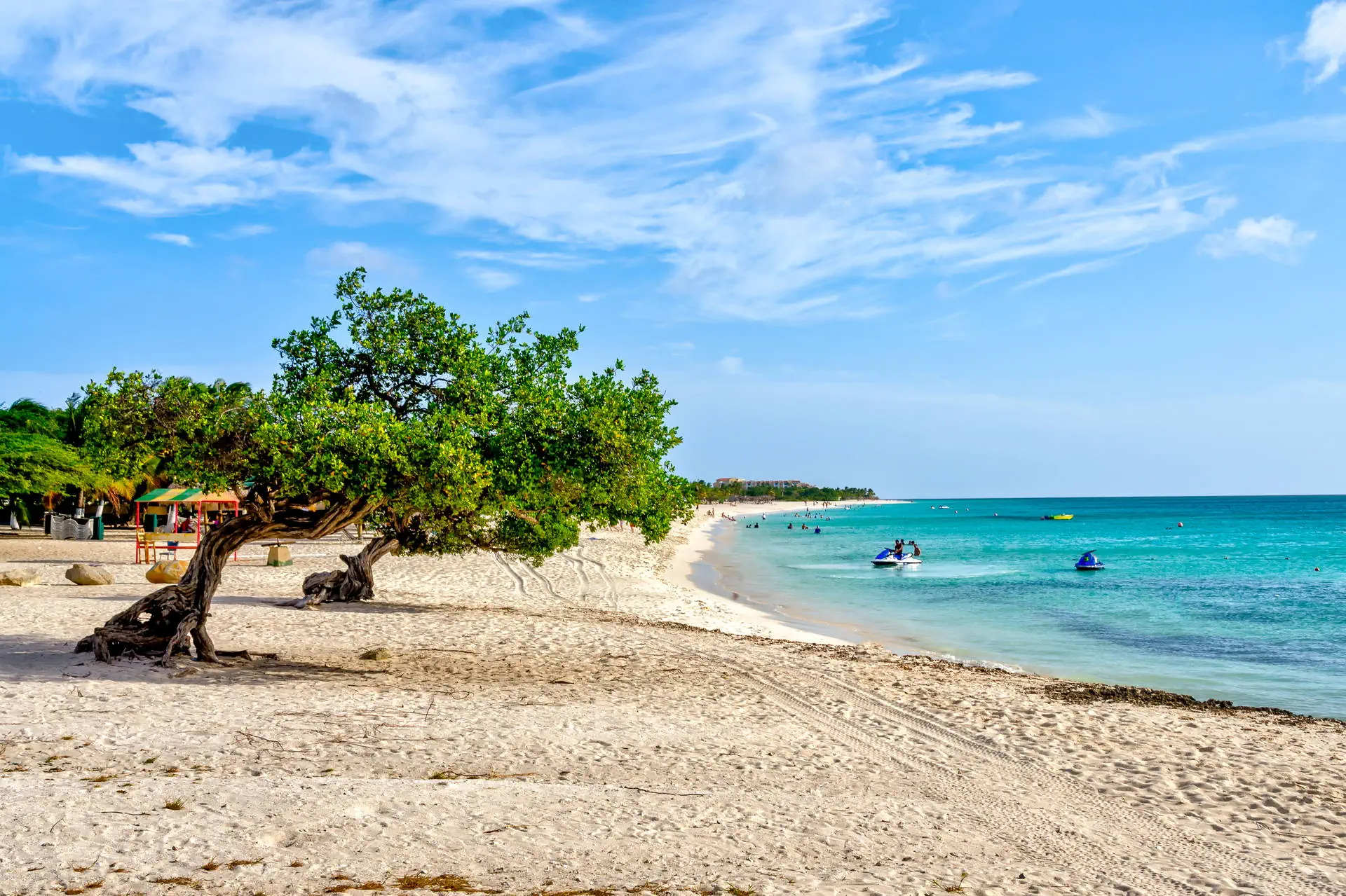 Egzotyka Light - Aruba - zdjęcie 39
