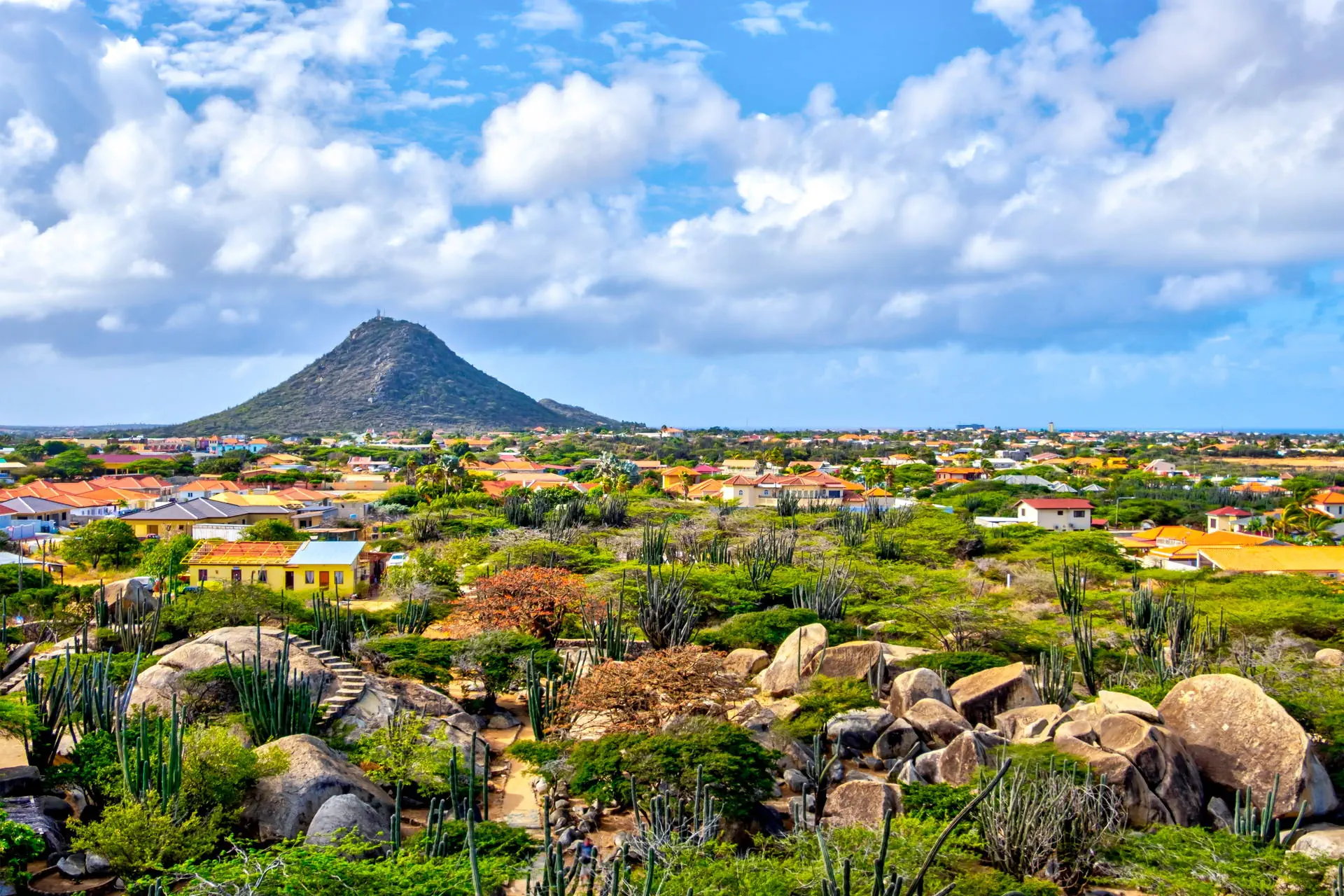 Egzotyka Light - Aruba - zdjęcie 34