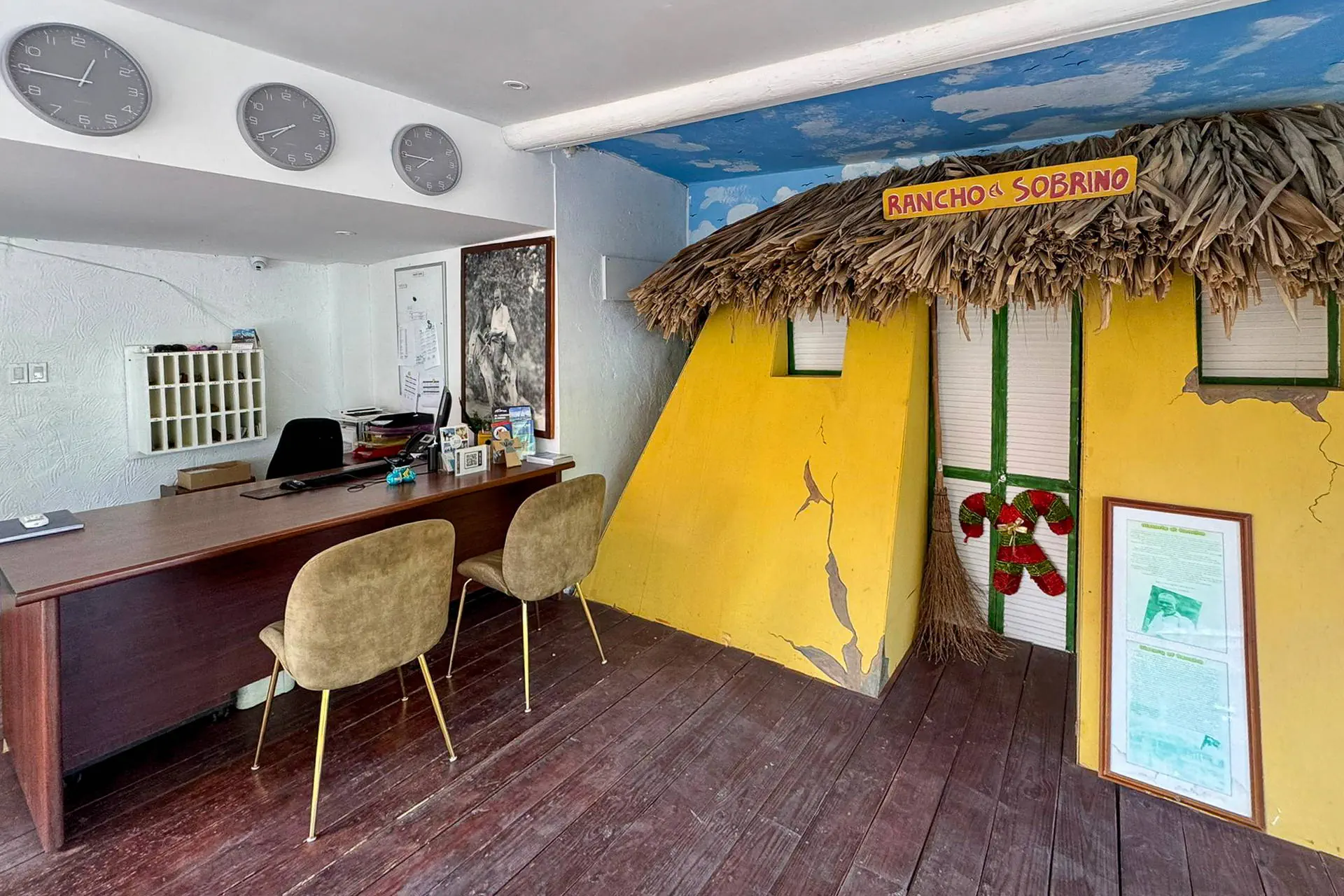 Egzotyka Light - Curacao - zdjęcie 19