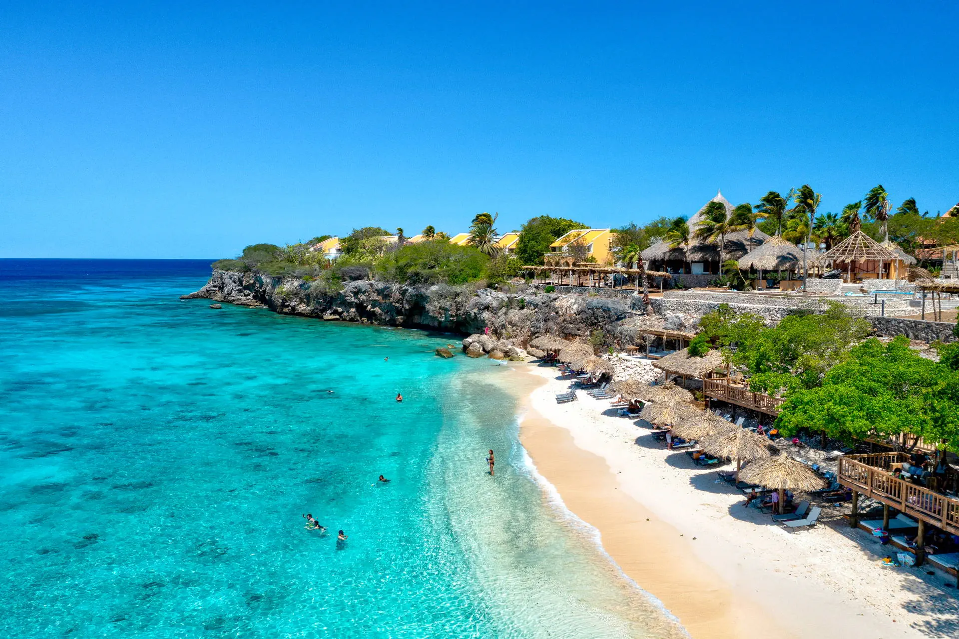 Egzotyka Light - Curacao - zdjęcie 41